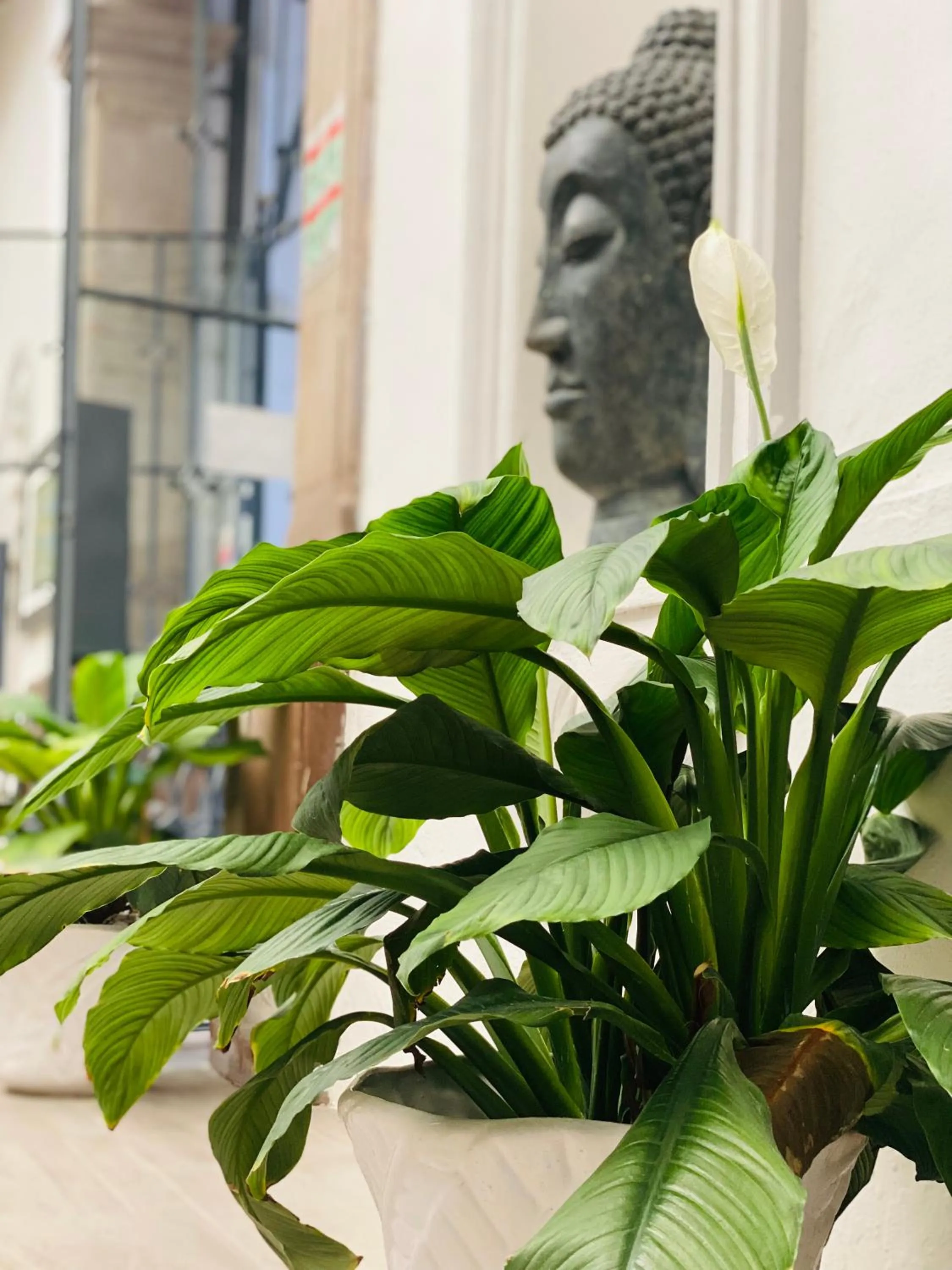 Off site in Markee Hotel Boutique