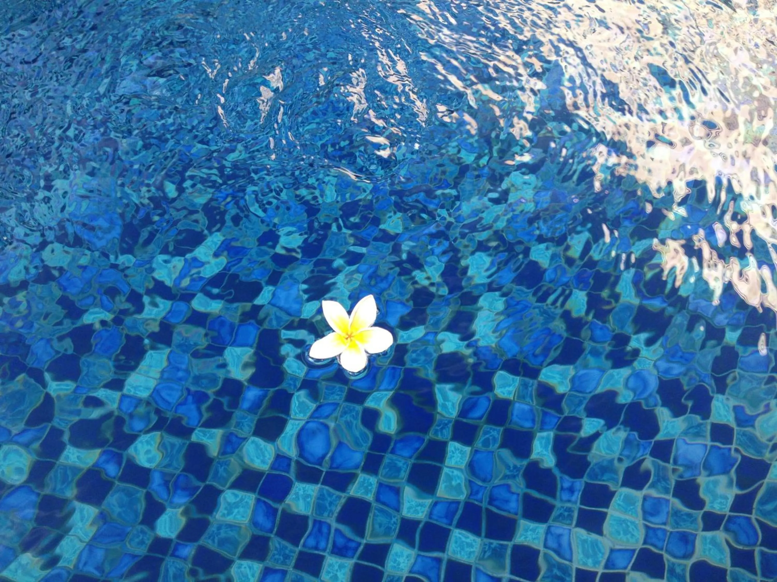 View (from property/room) in Coco De Heaven House