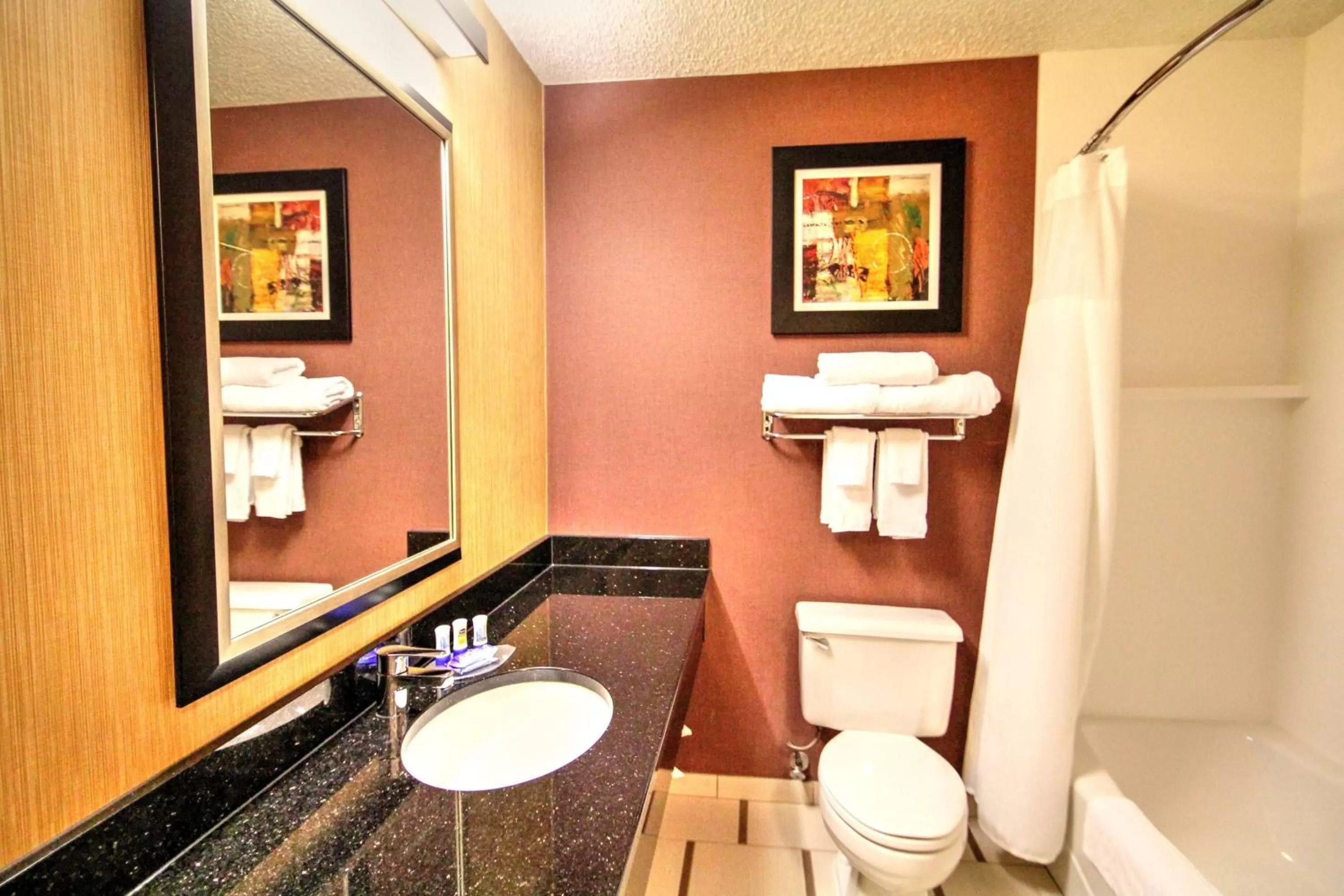King Room with Adapted Tub - Mobility Accessible in Fairfield Inn Boise Airport