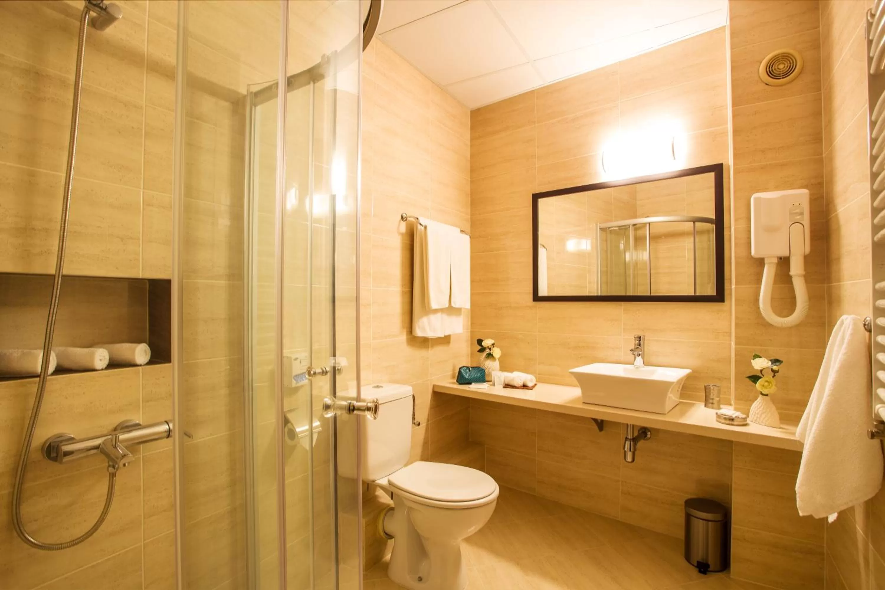 Bathroom in Hotel Villa Boyana - Free Parking