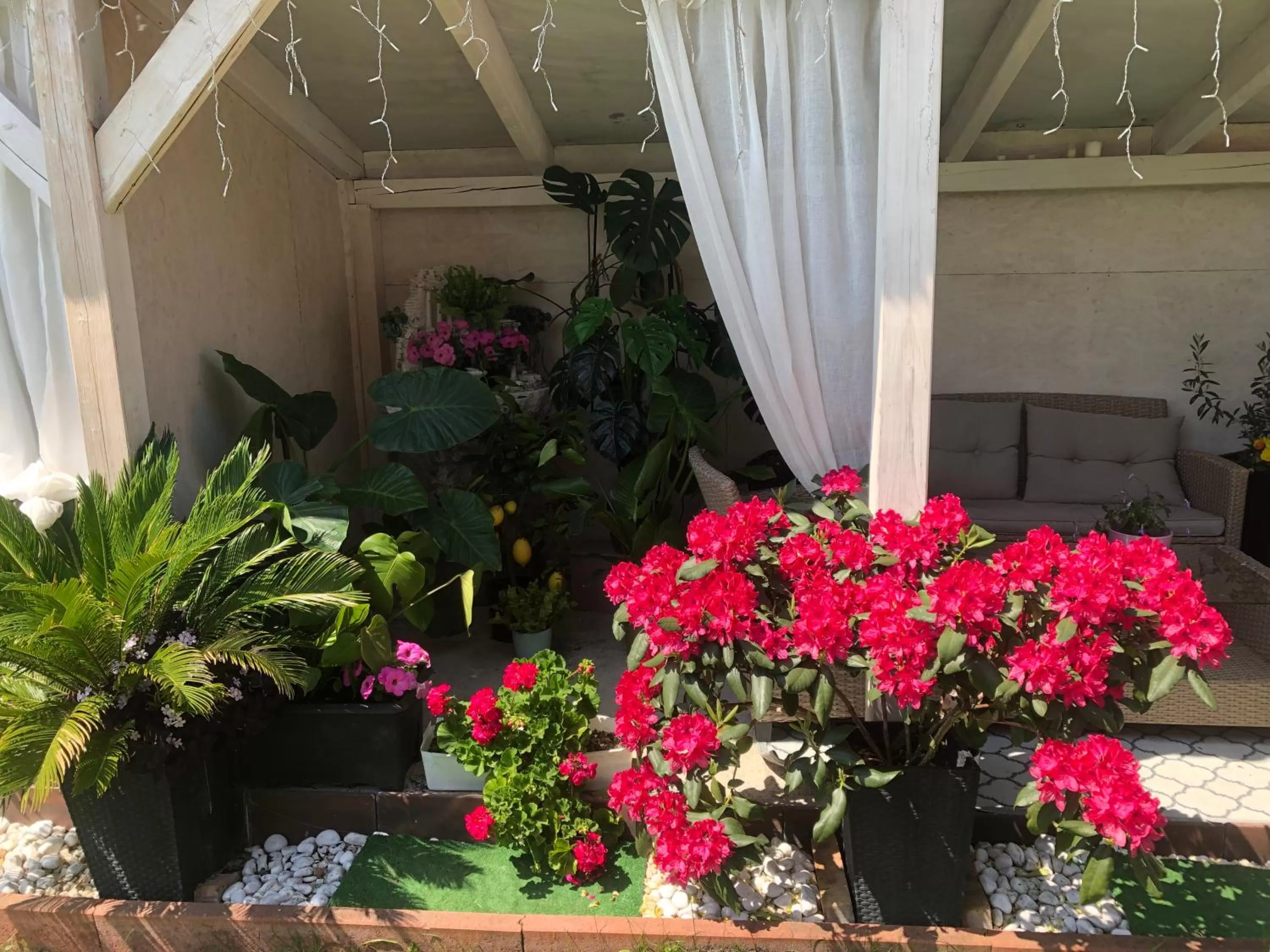 Balcony/Terrace in Vintiamo Apartmanok