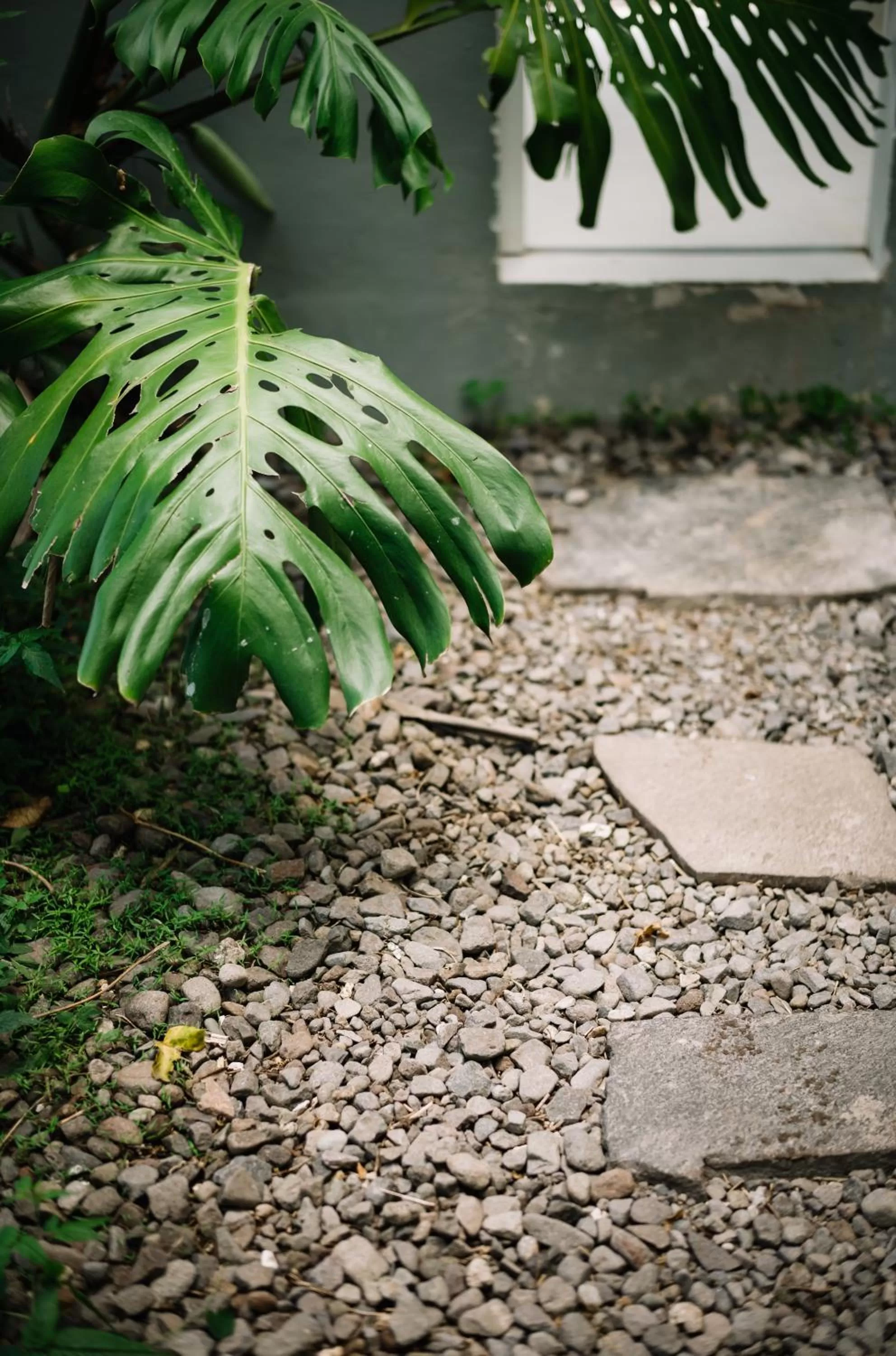Garden in Anzan Atitlan