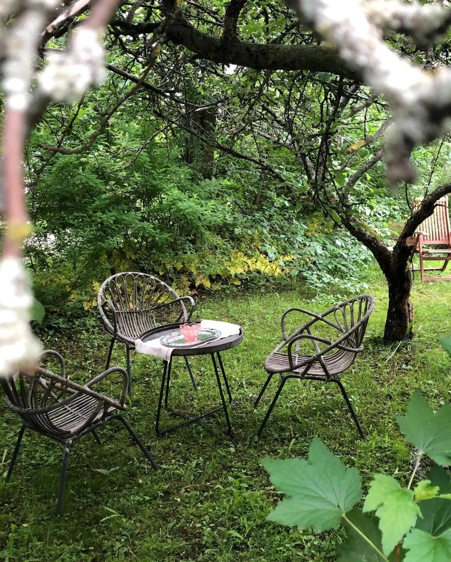 Garden view in Villa Lyckan