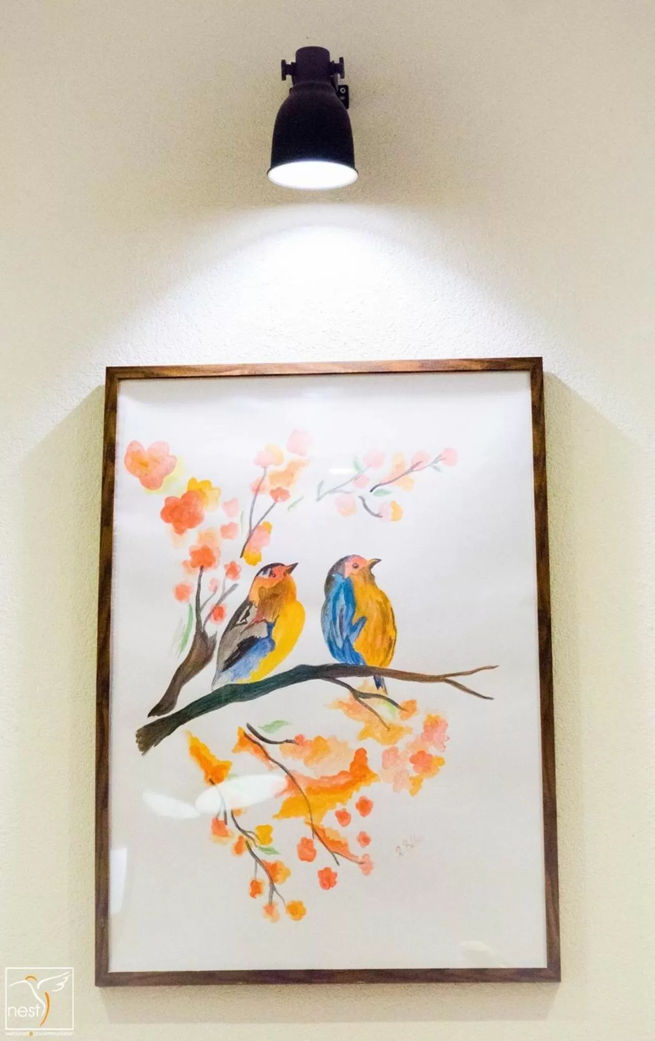 Certificate/Award in Nest