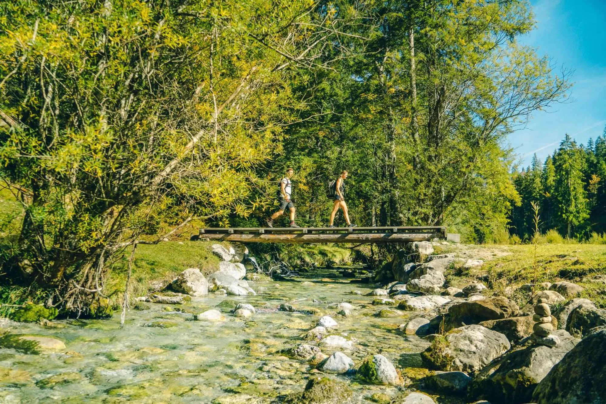 Natural landscape in aja Ruhpolding