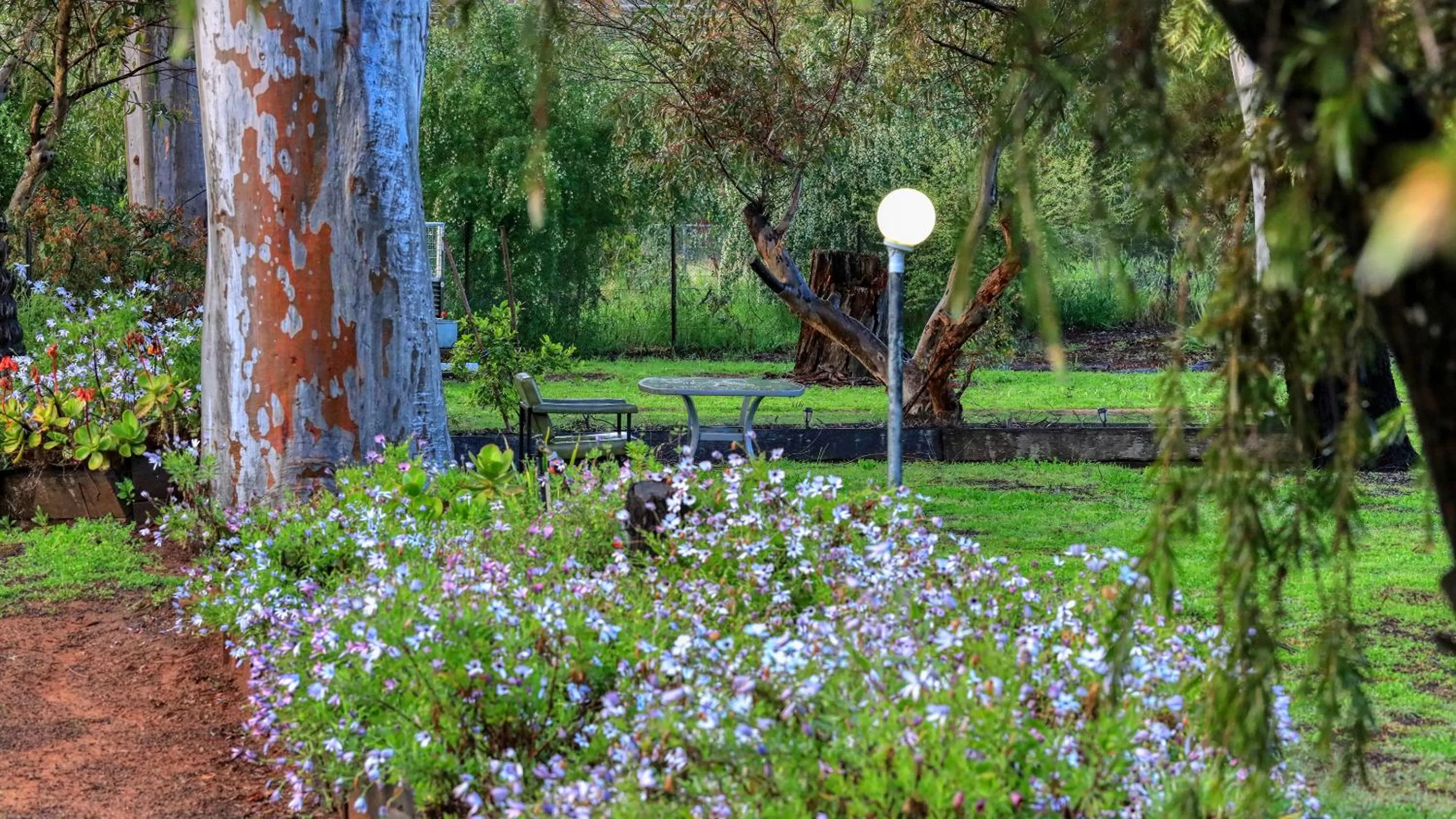 Garden in Azalea Motel