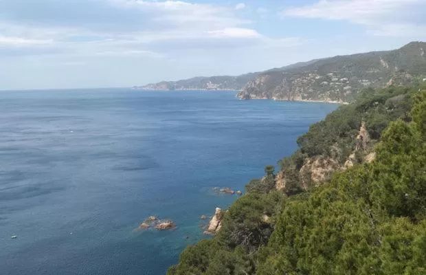 Natural Landscape in Hotel Hostal Chic