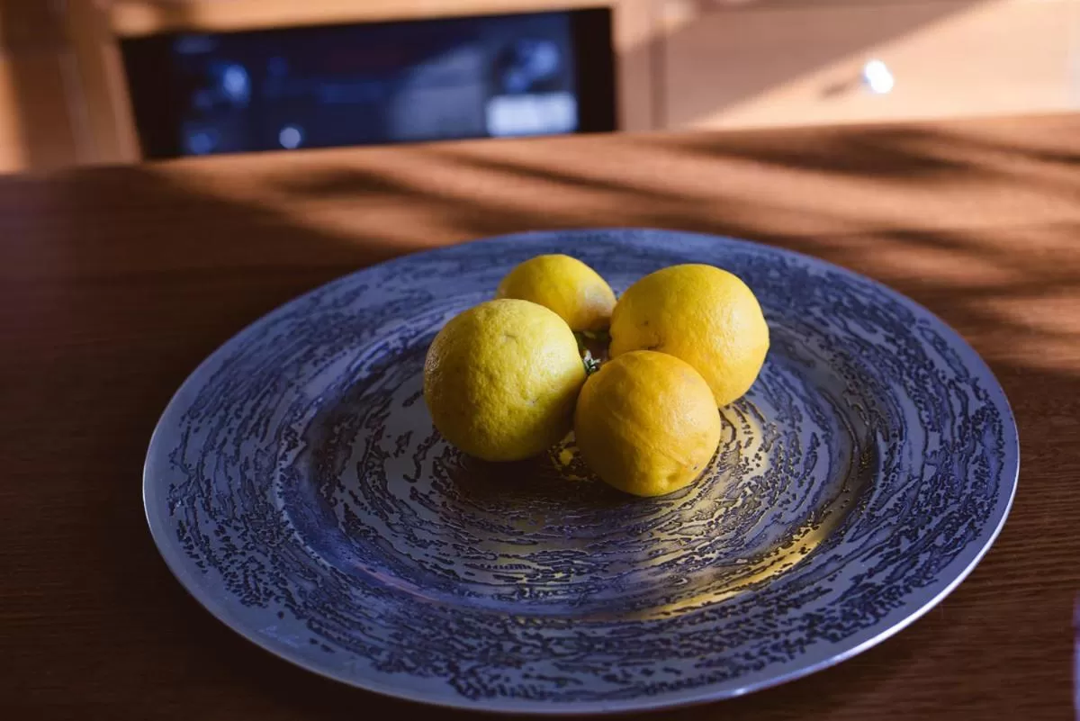 Rosewood Park Guest Suite