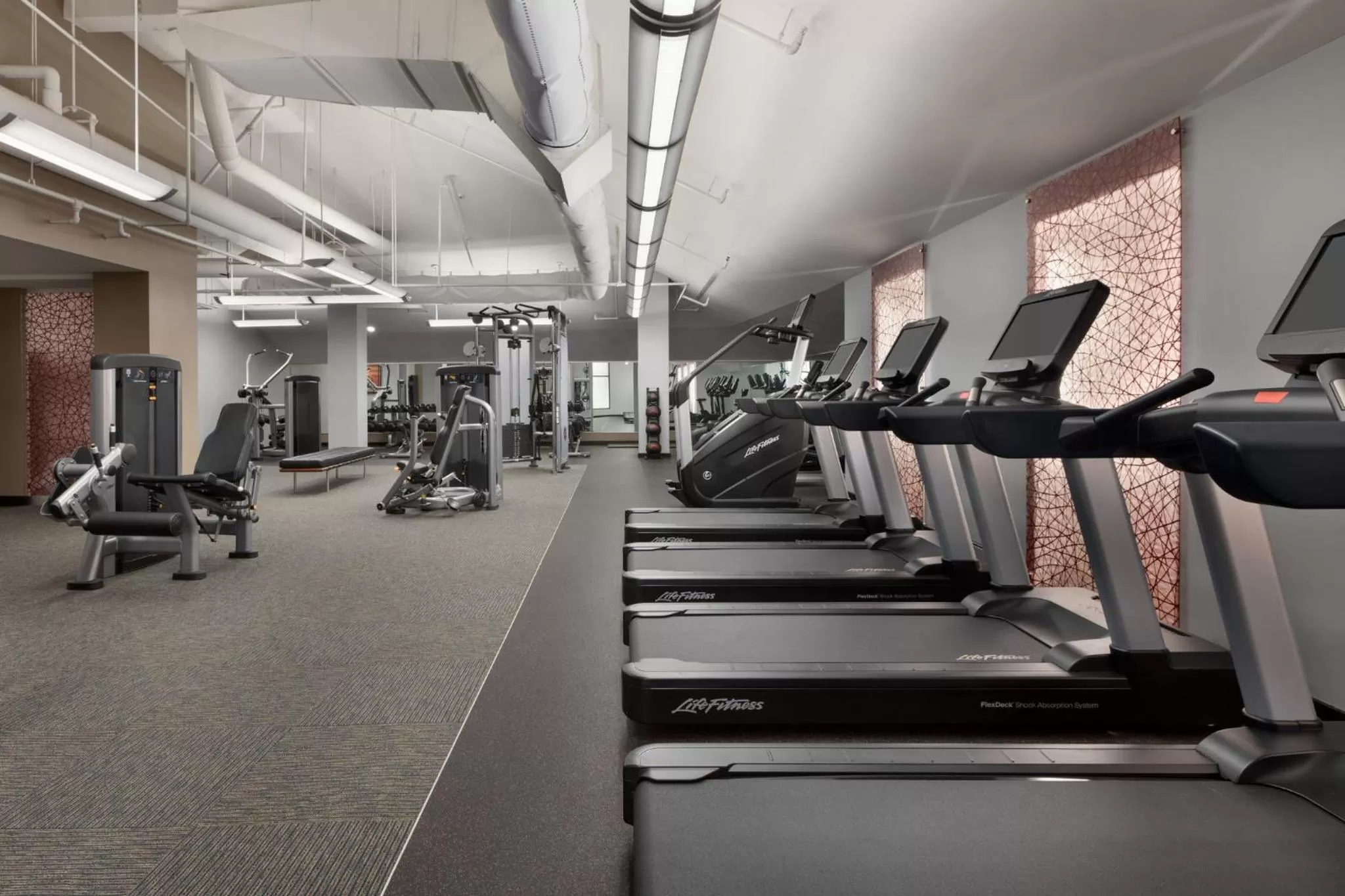 Fitness centre/facilities in Crowne Plaza College Park - Washington DC by IHG