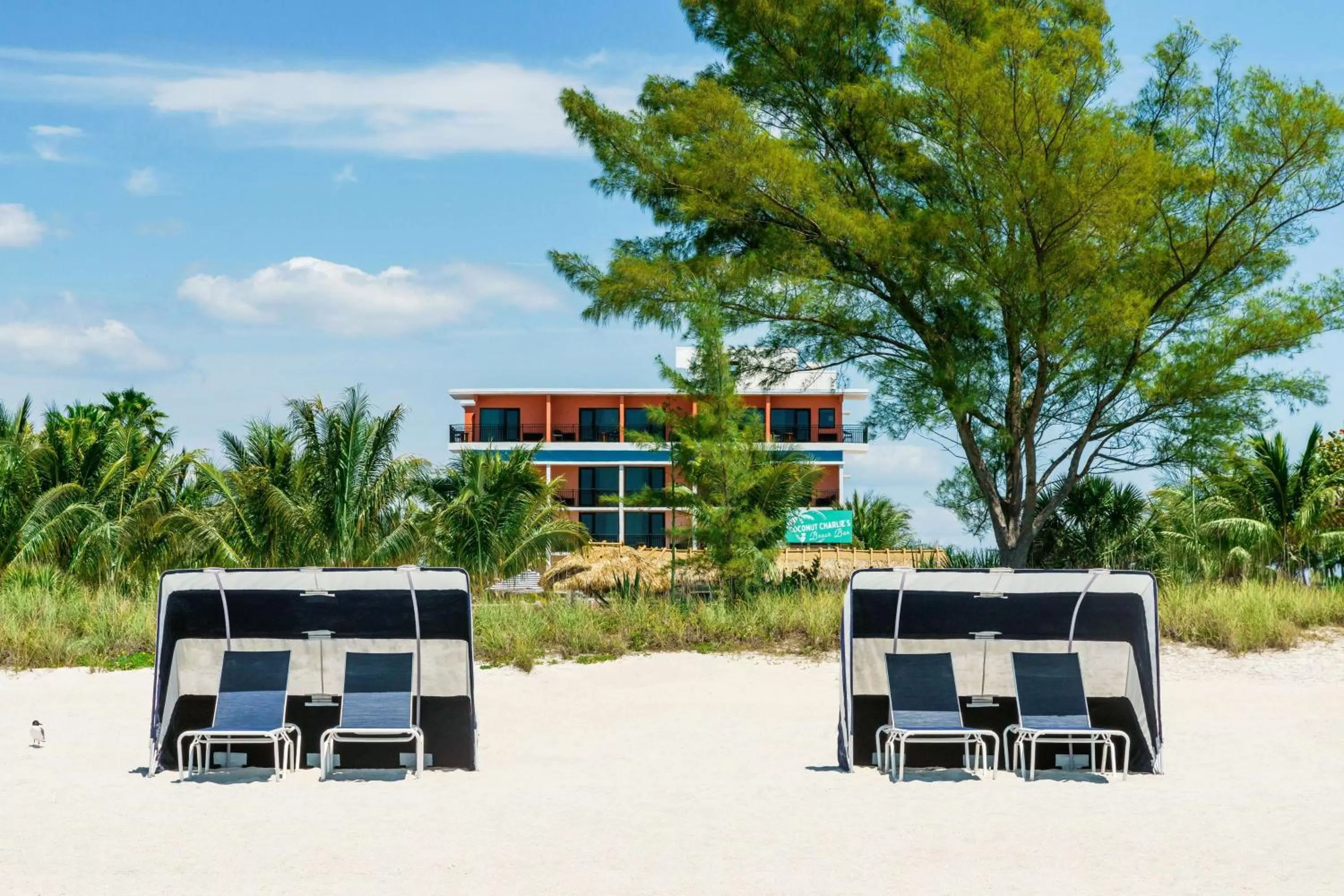 Property building in Hilton Garden Inn St. Pete Beach, FL