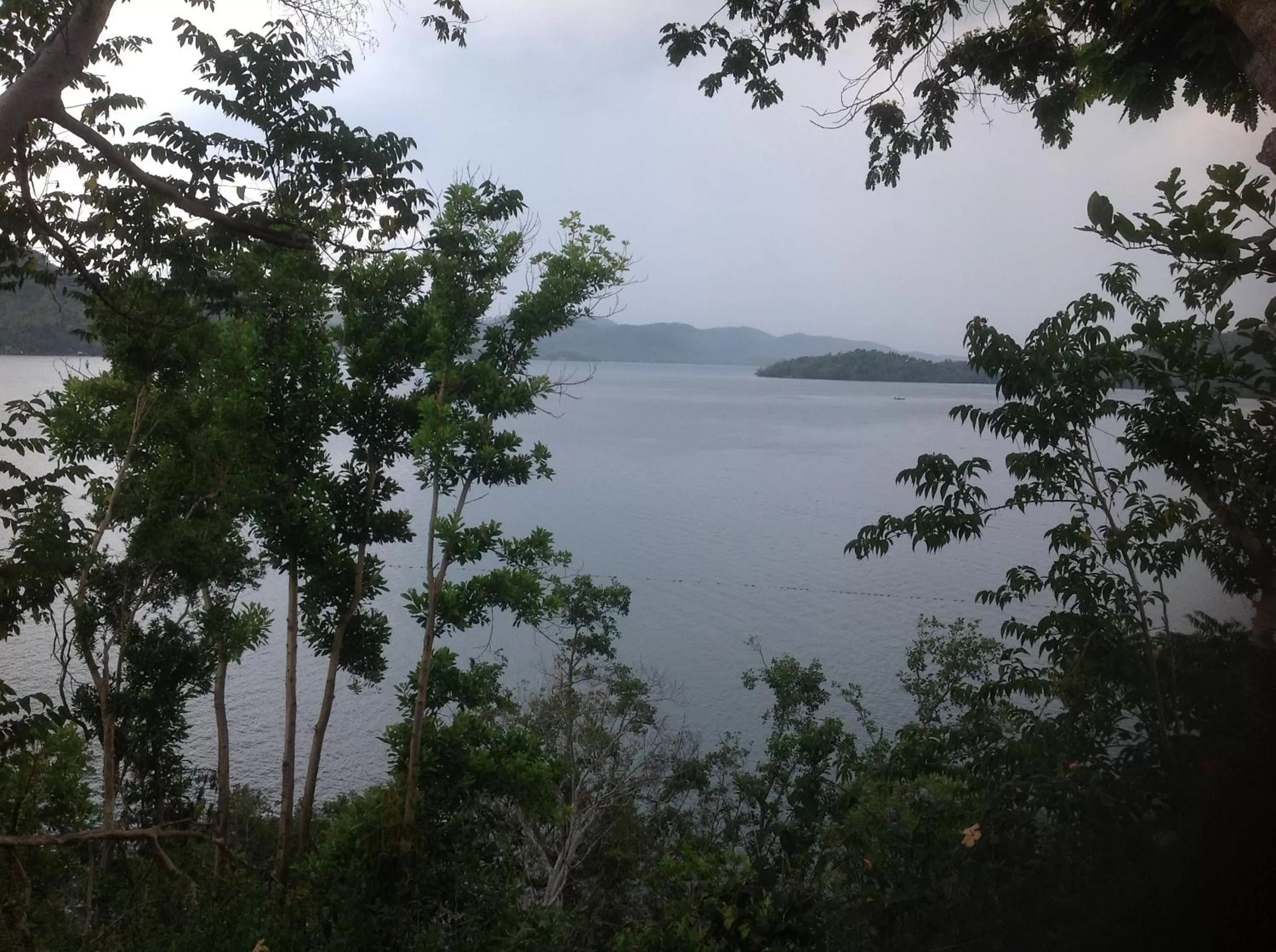 Area and facilities in Discovery Island Resort