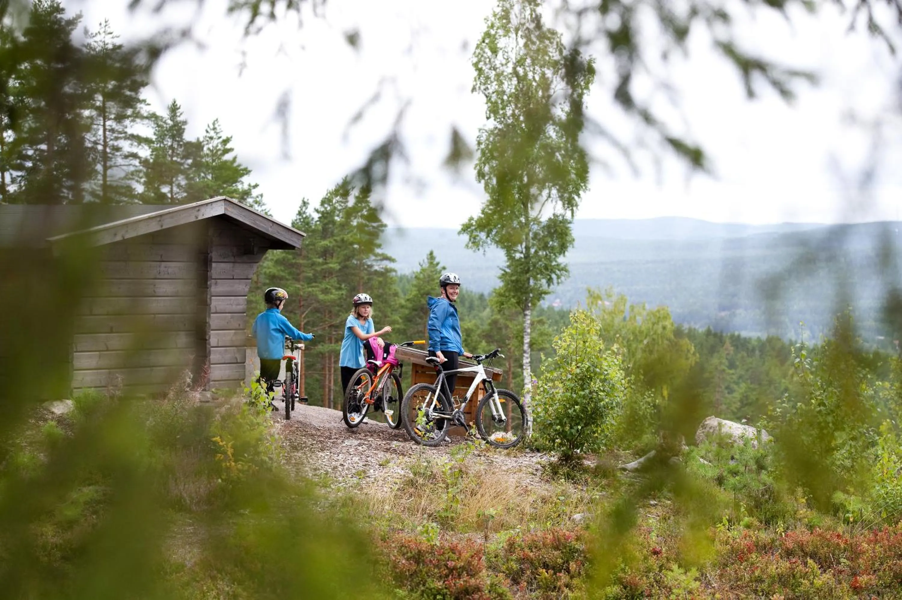 Natural landscape in Quality Hotel Grand Falun