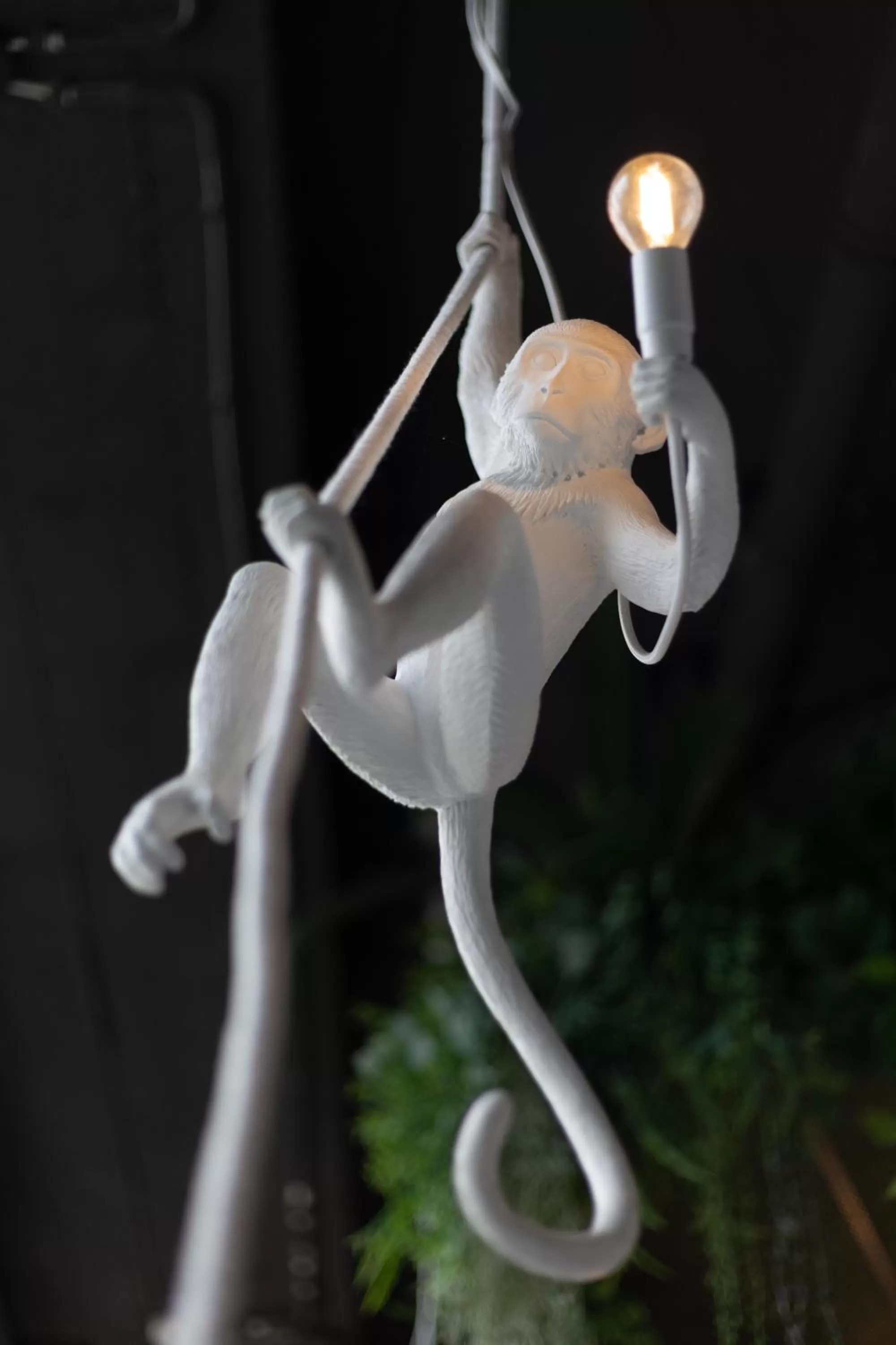 Decorative detail in Hotel Zoo by Afrykarium Wroclaw