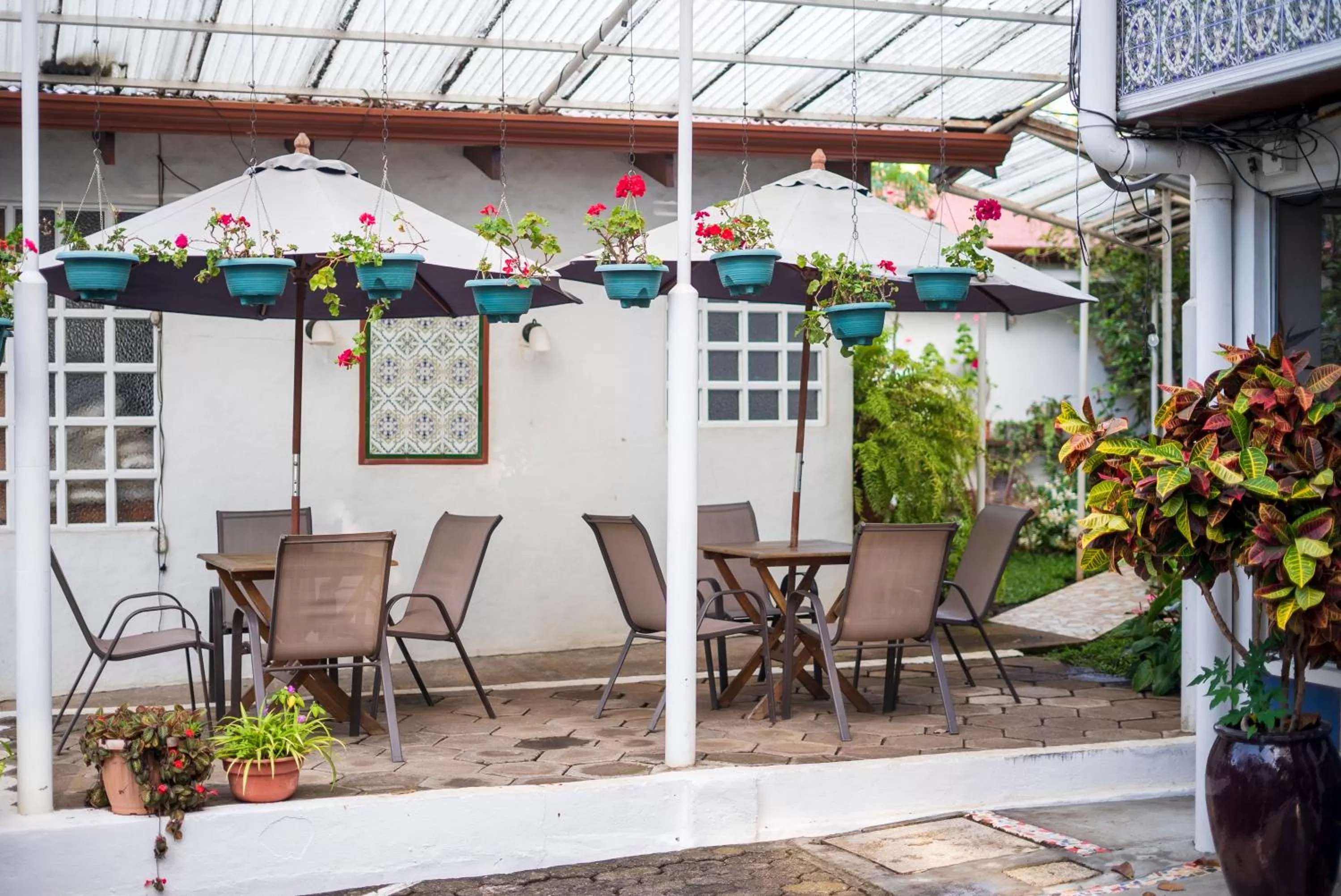 Hotel Ave del Paraíso