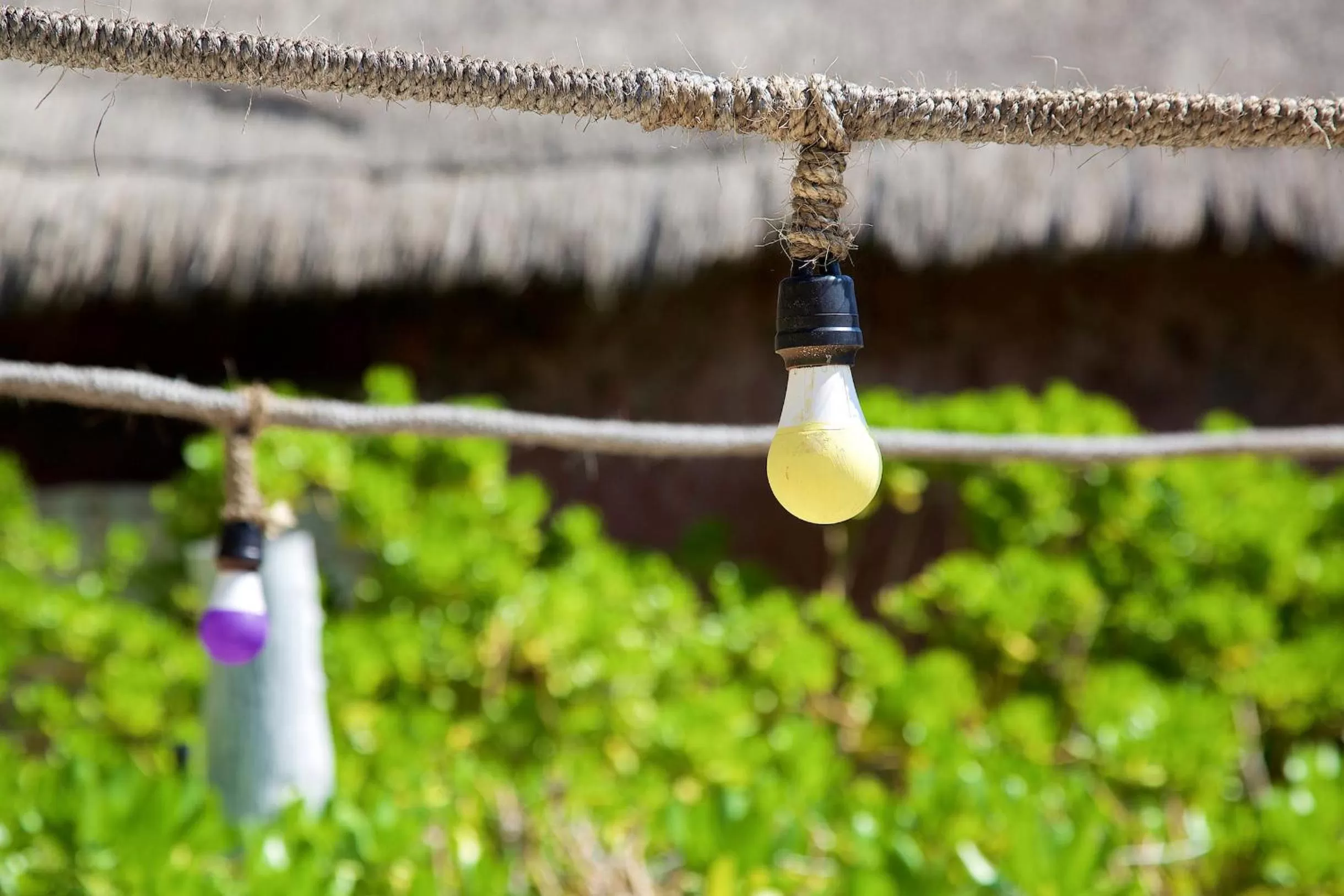 Decorative detail in Punta Piedra Beach Posada