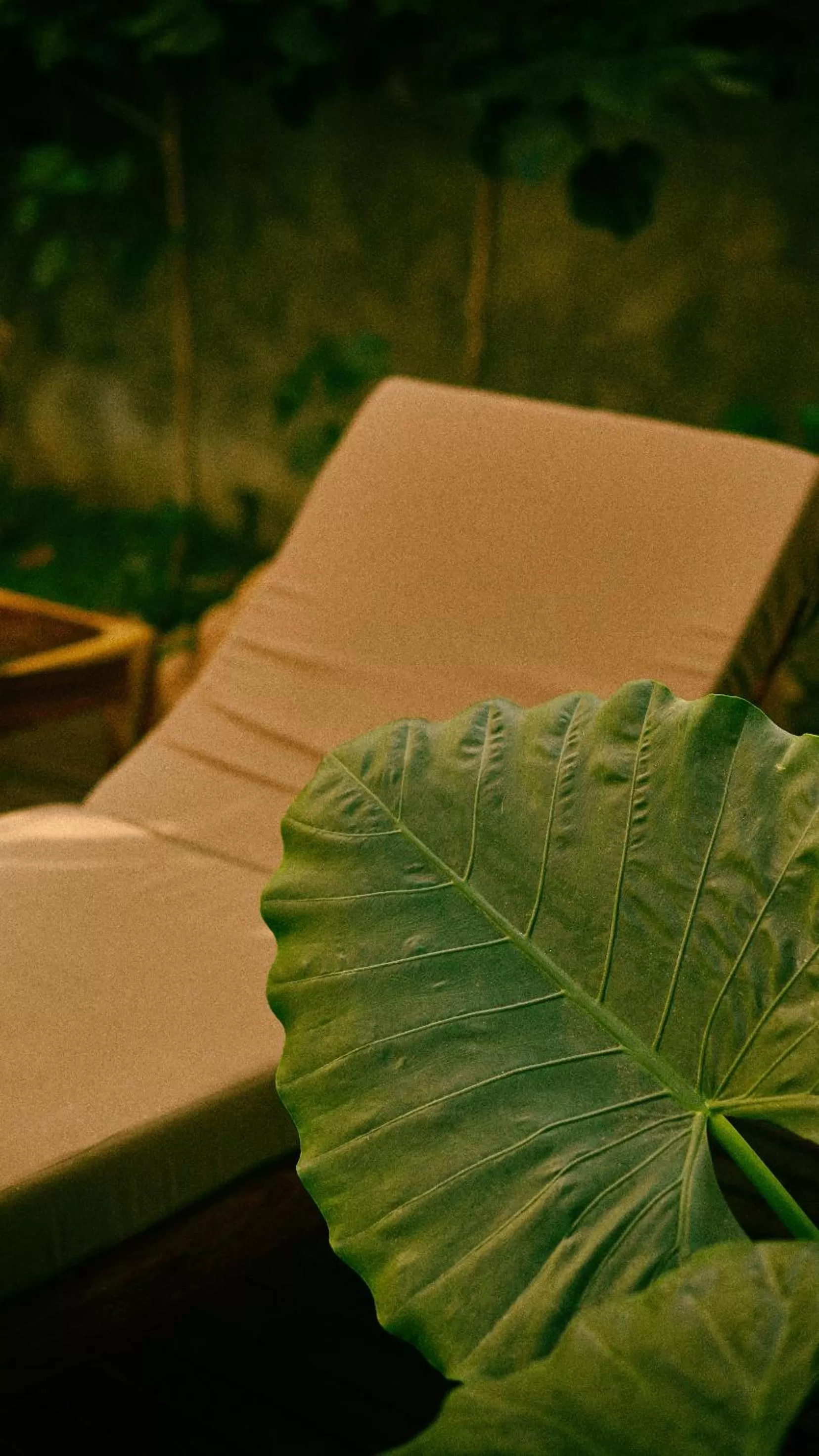 Seating area in Aldea Paraíso - Adults only - Boutique hotel
