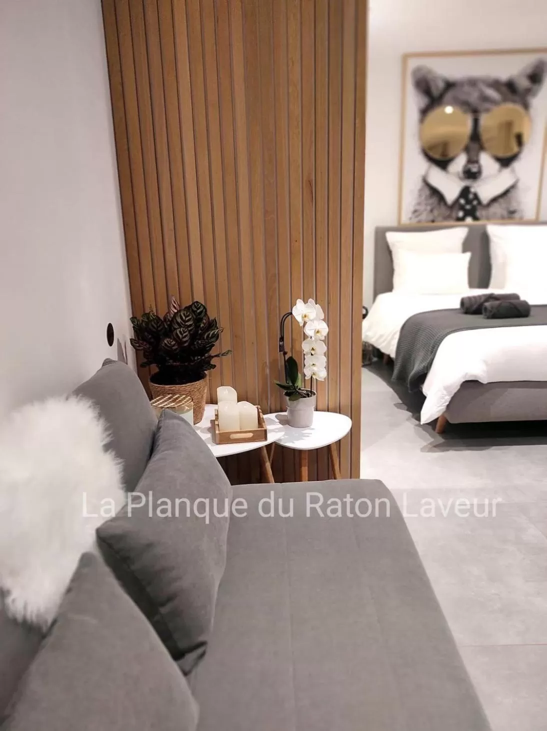 Living room, Bed in La planque du raton laveur