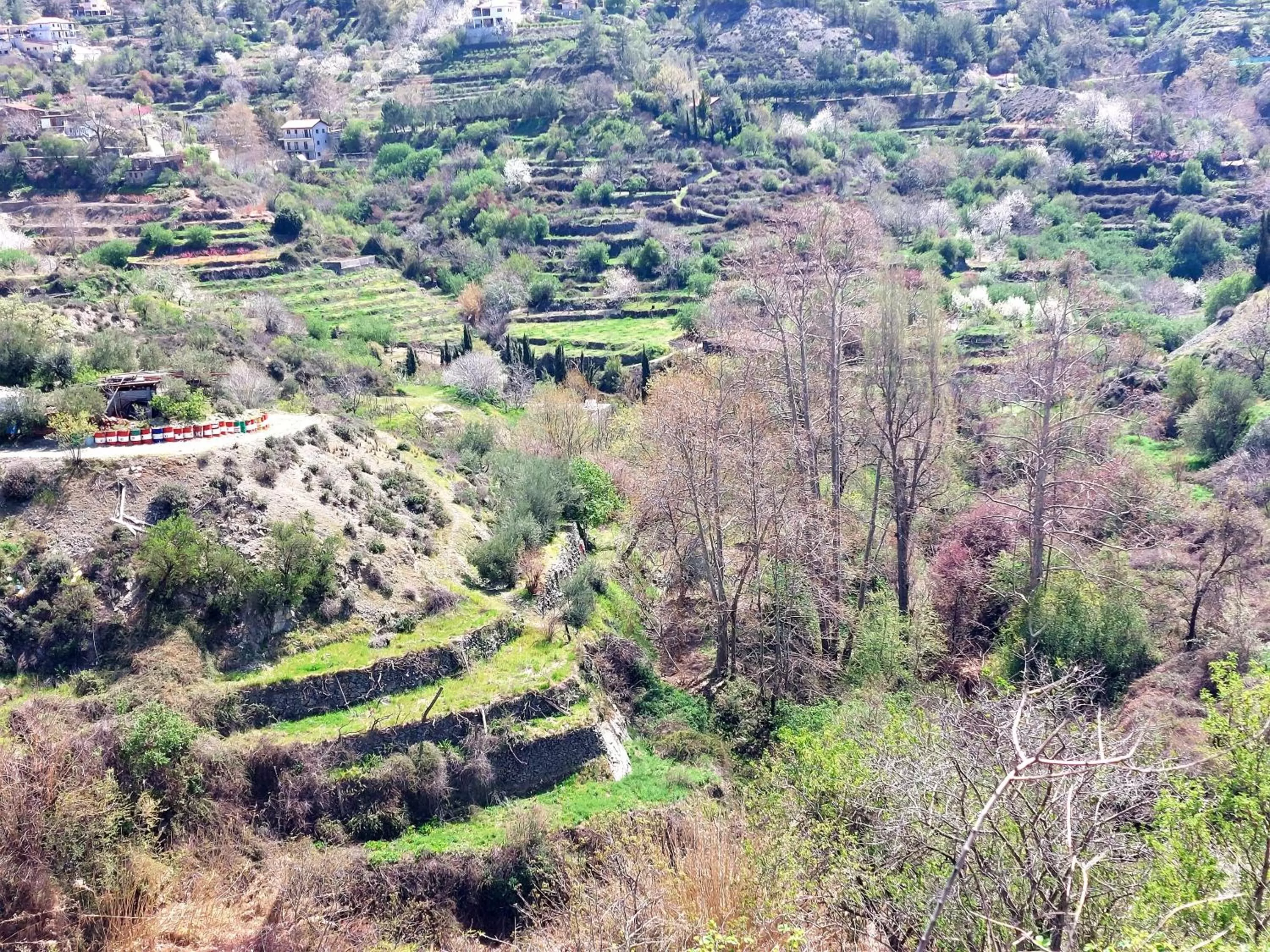 Natural landscape in Agros Green Valley Suites