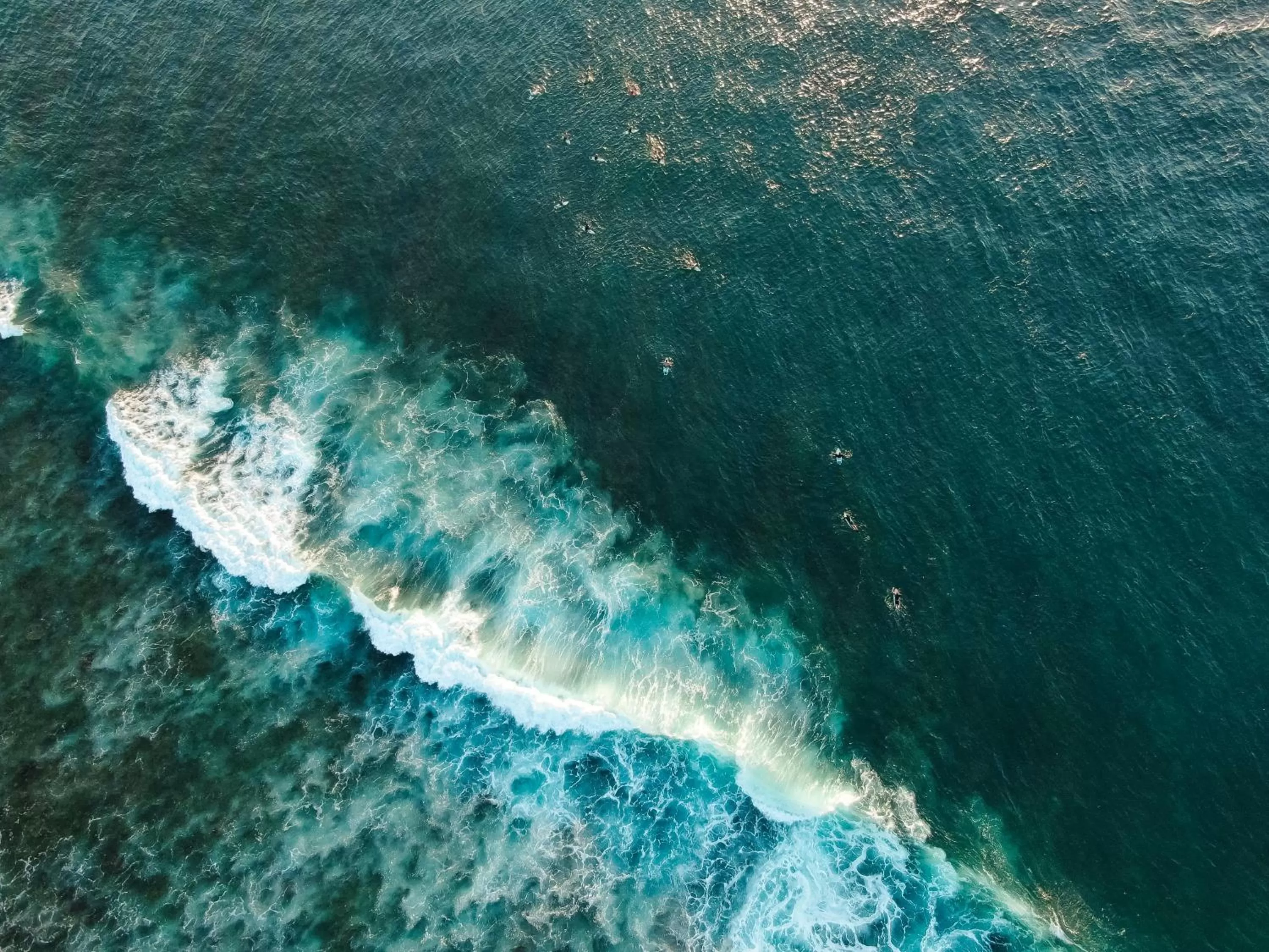 Sports in Lucky's Surf Camp