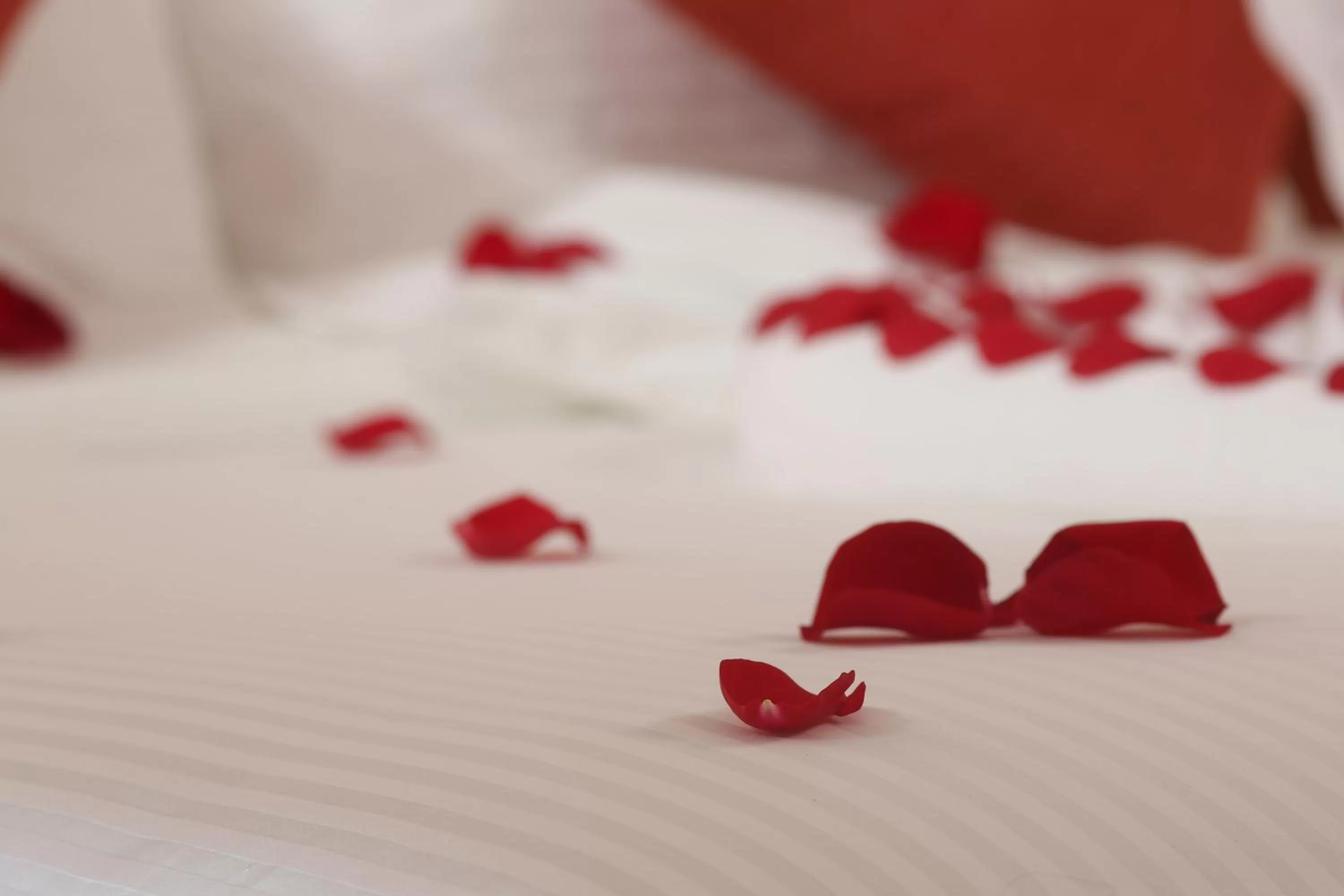 Bed in Best Western Plus Salmiya