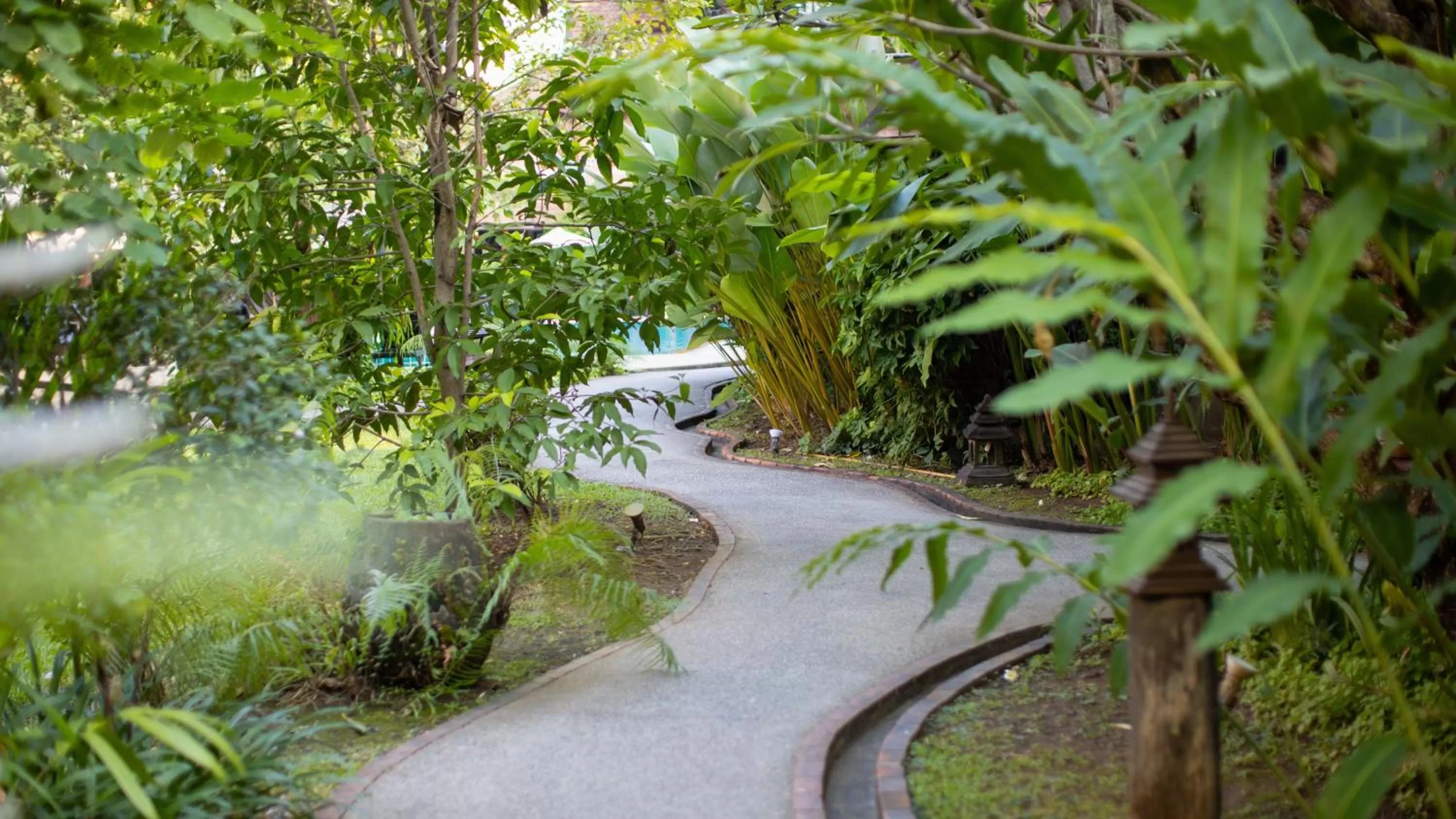 Garden in Yaang Come Village Hotel
