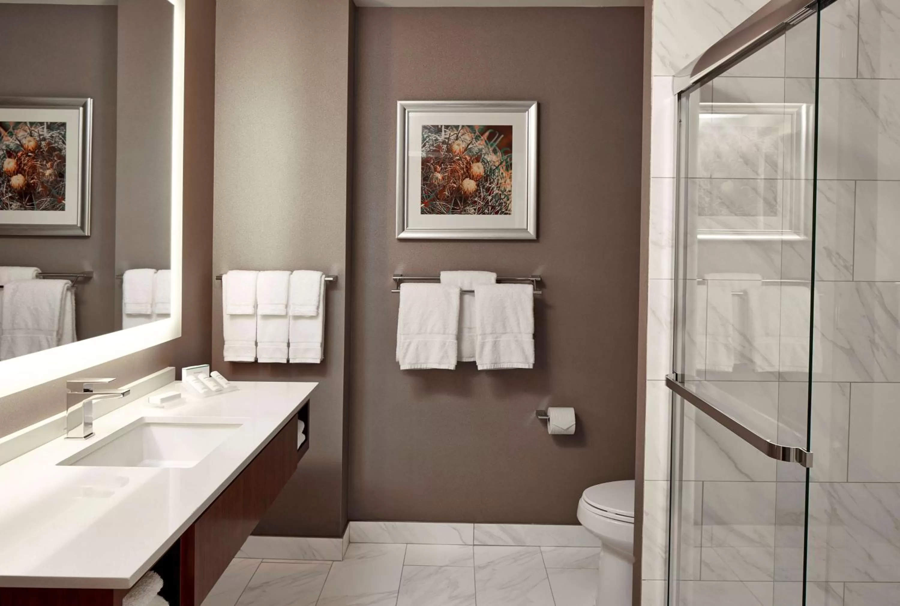 Bathroom in Hilton Garden Inn Phoenix Downtown