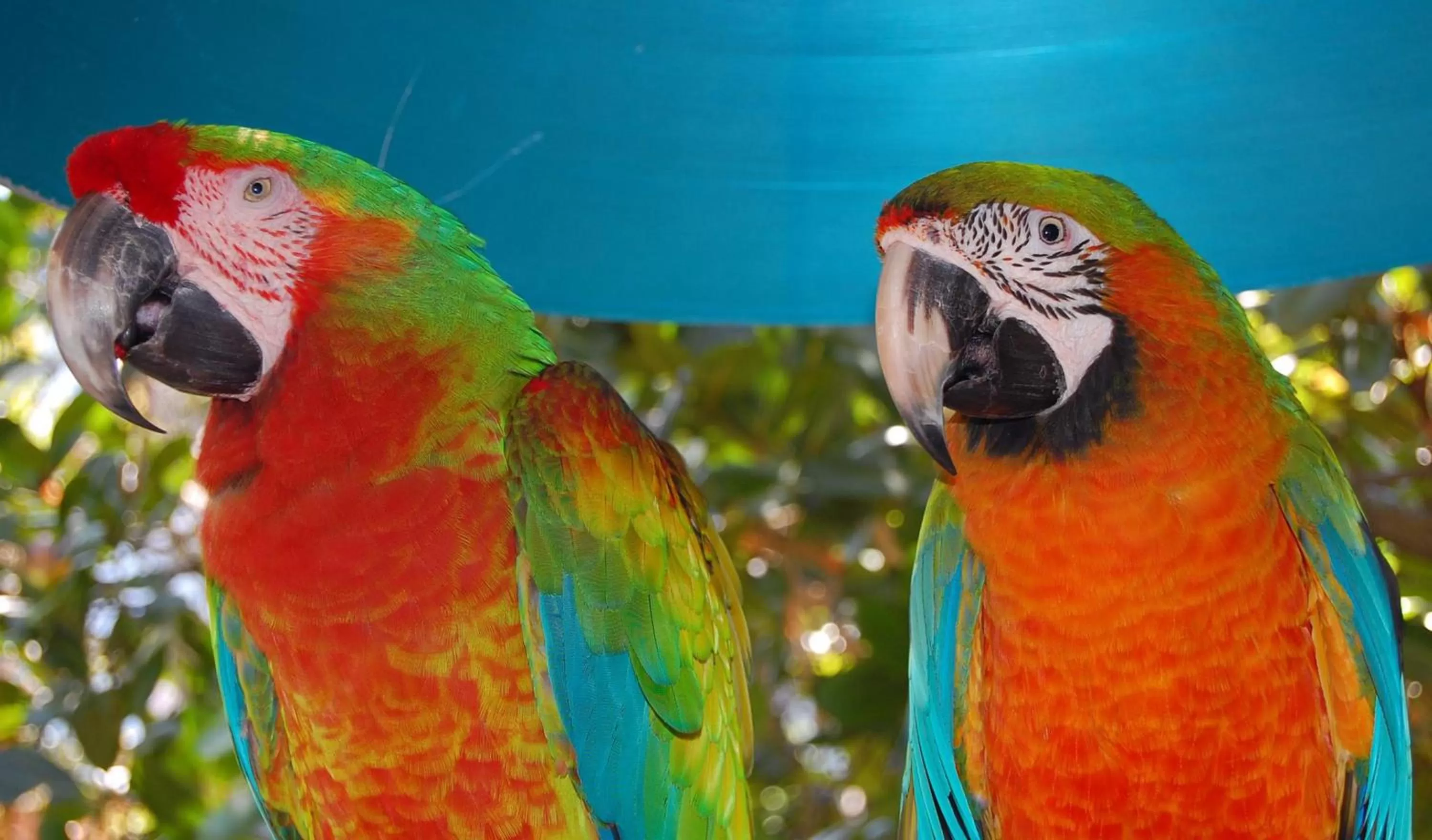 Nearby landmark in Holiday Inn Miami Beach-Oceanfront by IHG