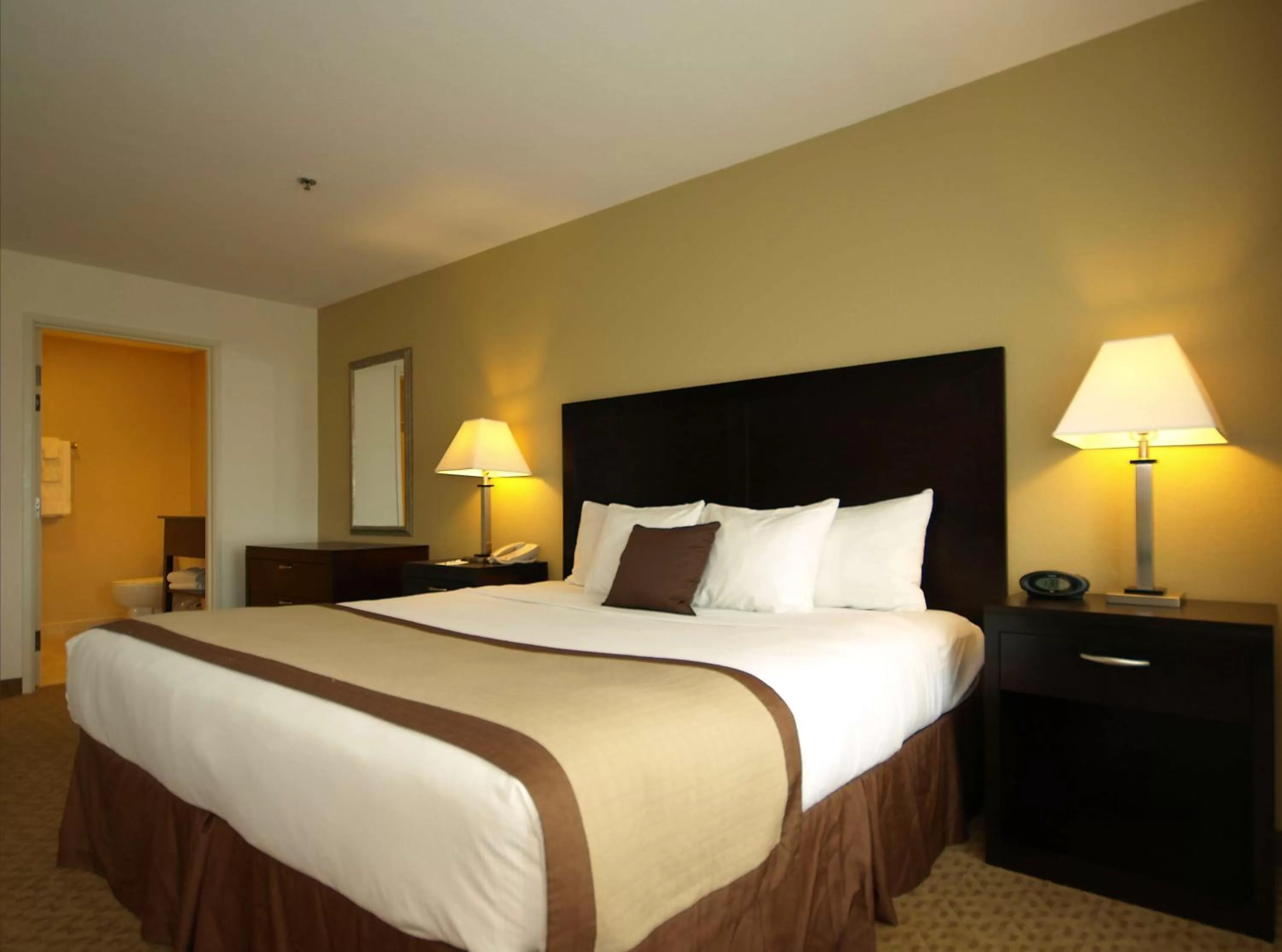 Queen Room - Disability Access in Best Western Plus Valdosta Hotel & Suites