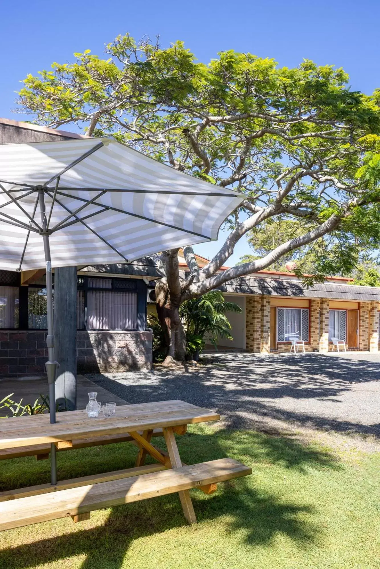 Double Room in South Pacific Palms Motor Inn Double Room in South Pacific Palms Motor Inn