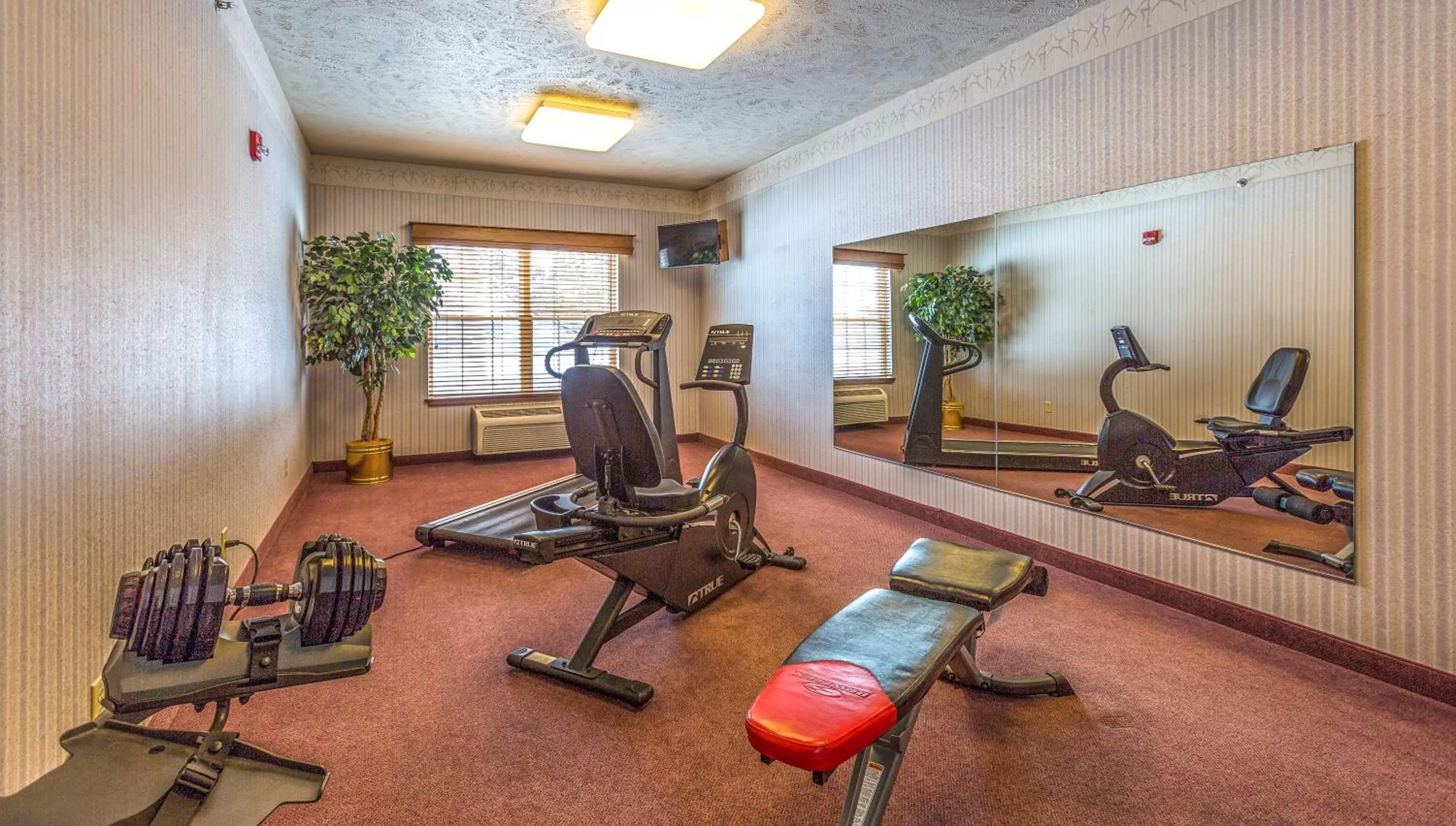 Fitness centre/facilities in Van Buren Hotel