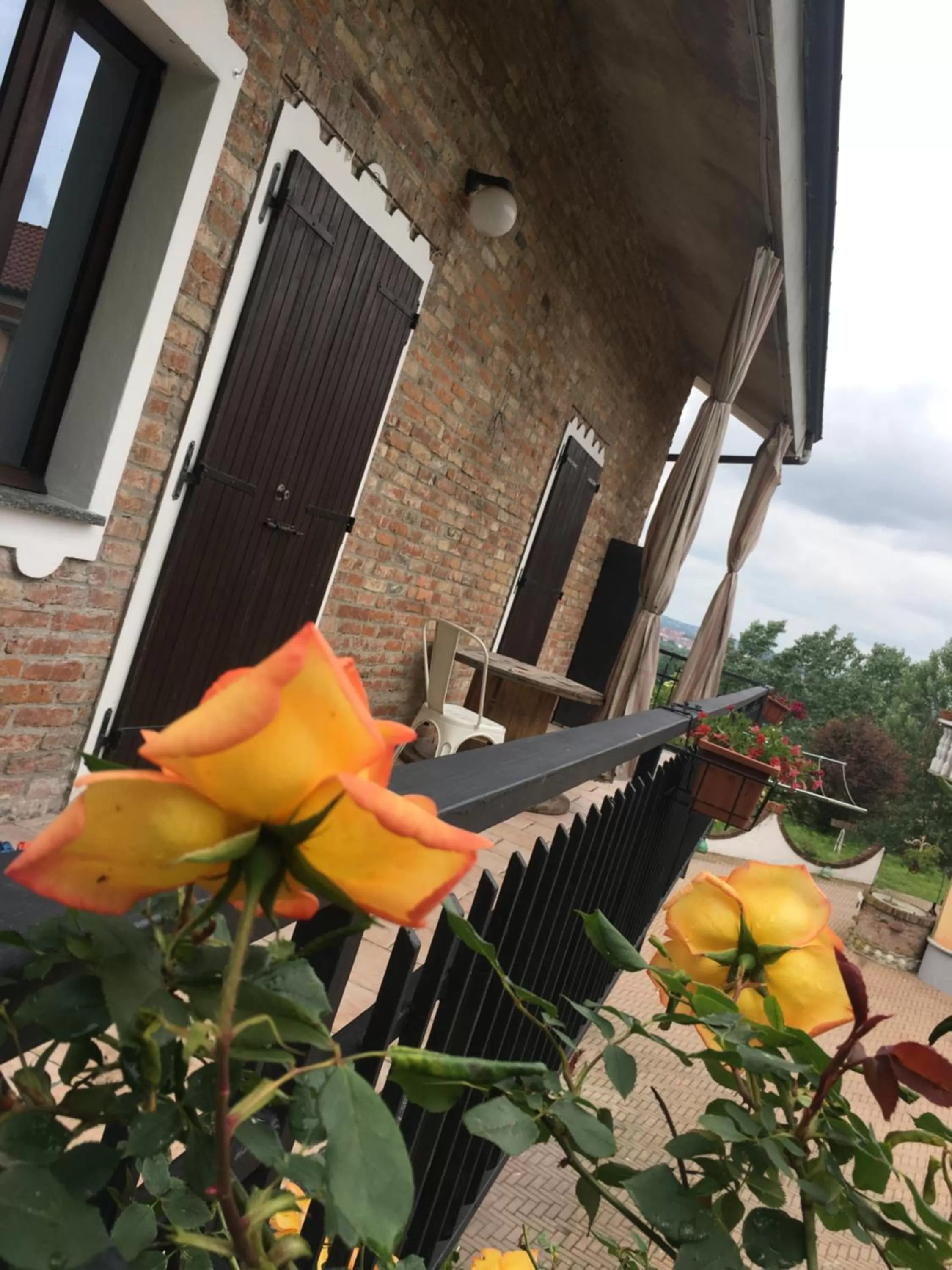 Rossella alla Villarella dei Tulipani