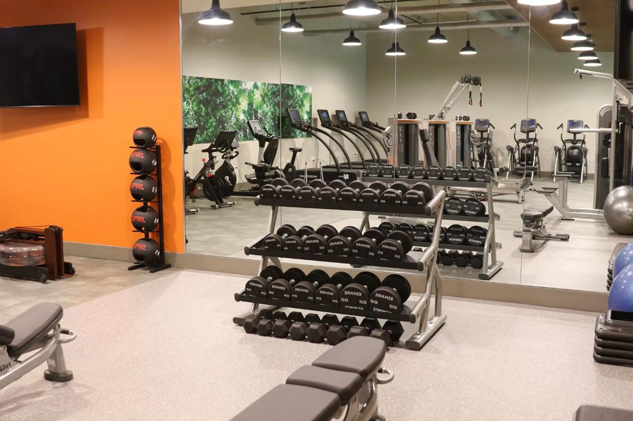 Fitness centre/facilities in EVEN Hotel Rochester - Mayo Clinic Area by IHG