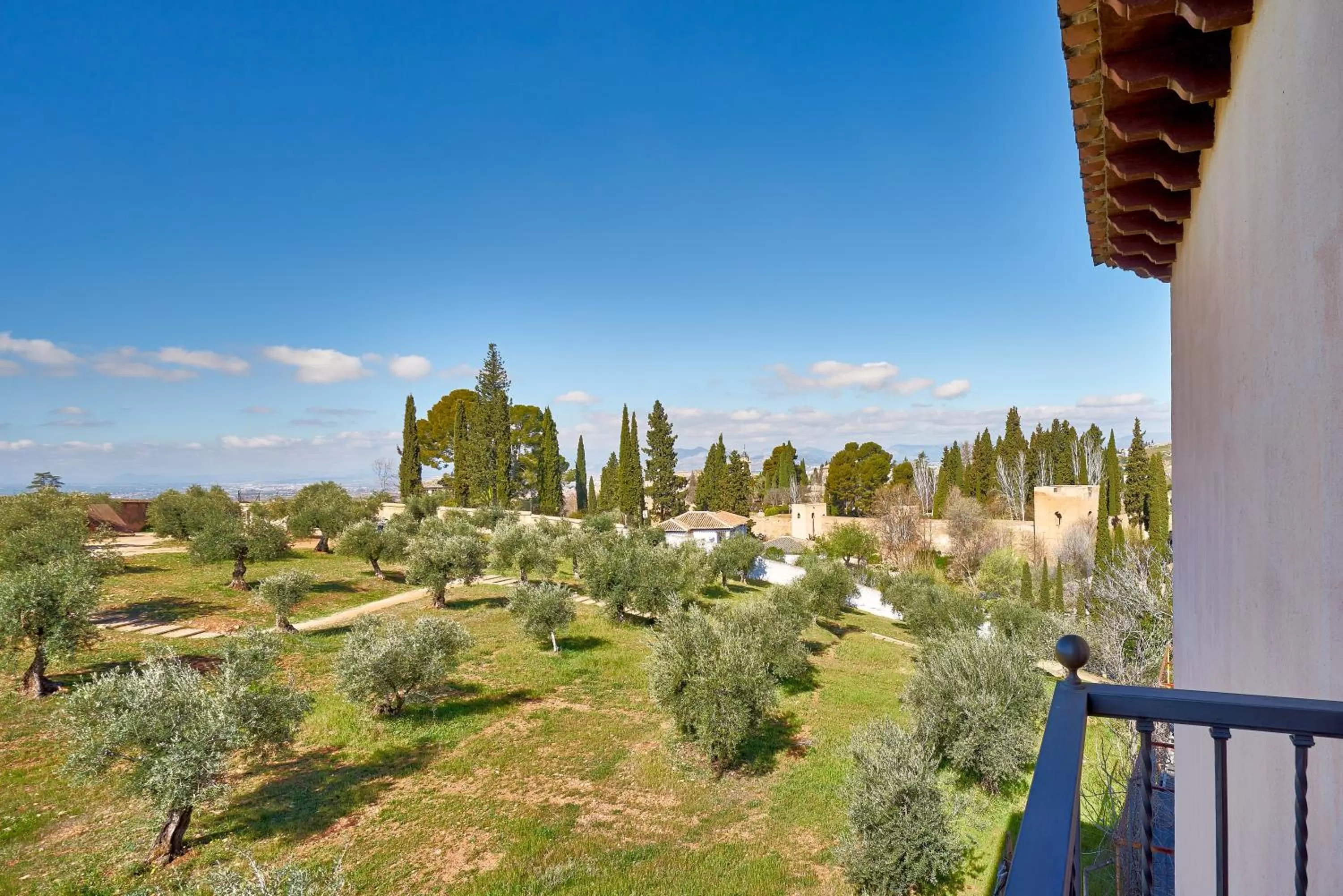 Decorative detail in Crisol Guadalupe