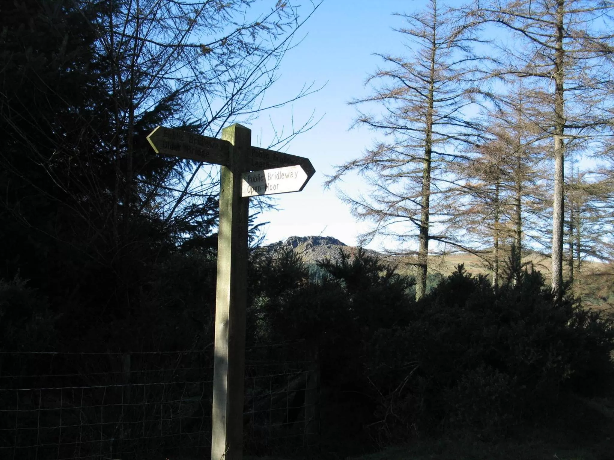 Hiking in Barnabas House