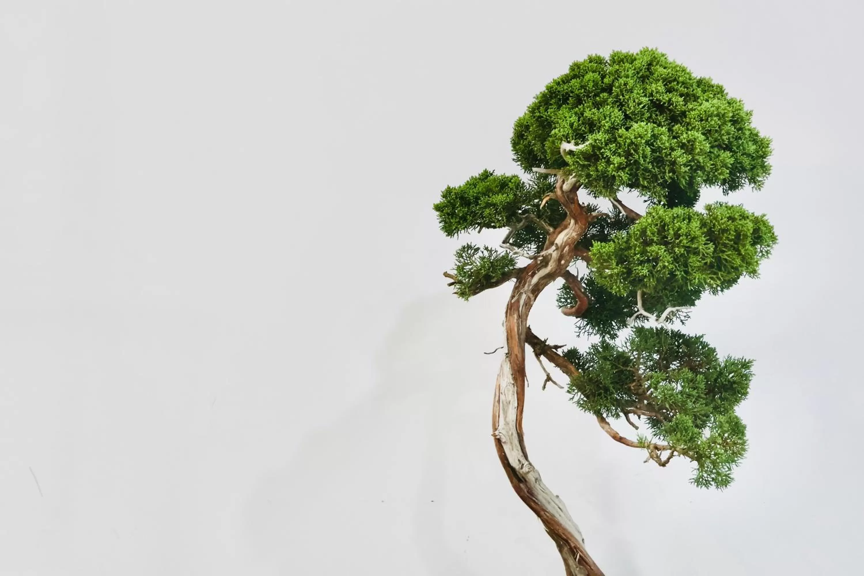 Natural landscape in THE ROOT2 HOTEL