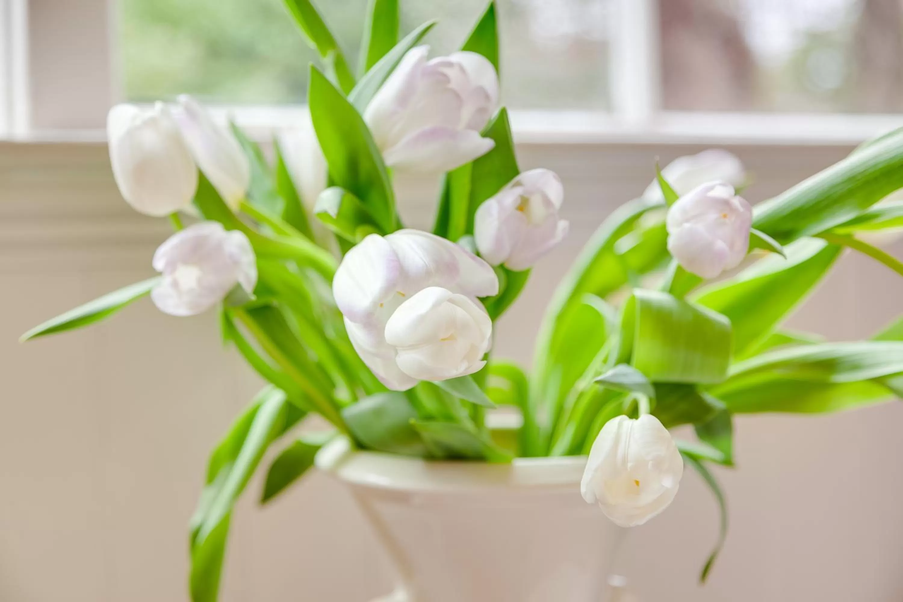 Decorative detail in Fairholme Manor Inn