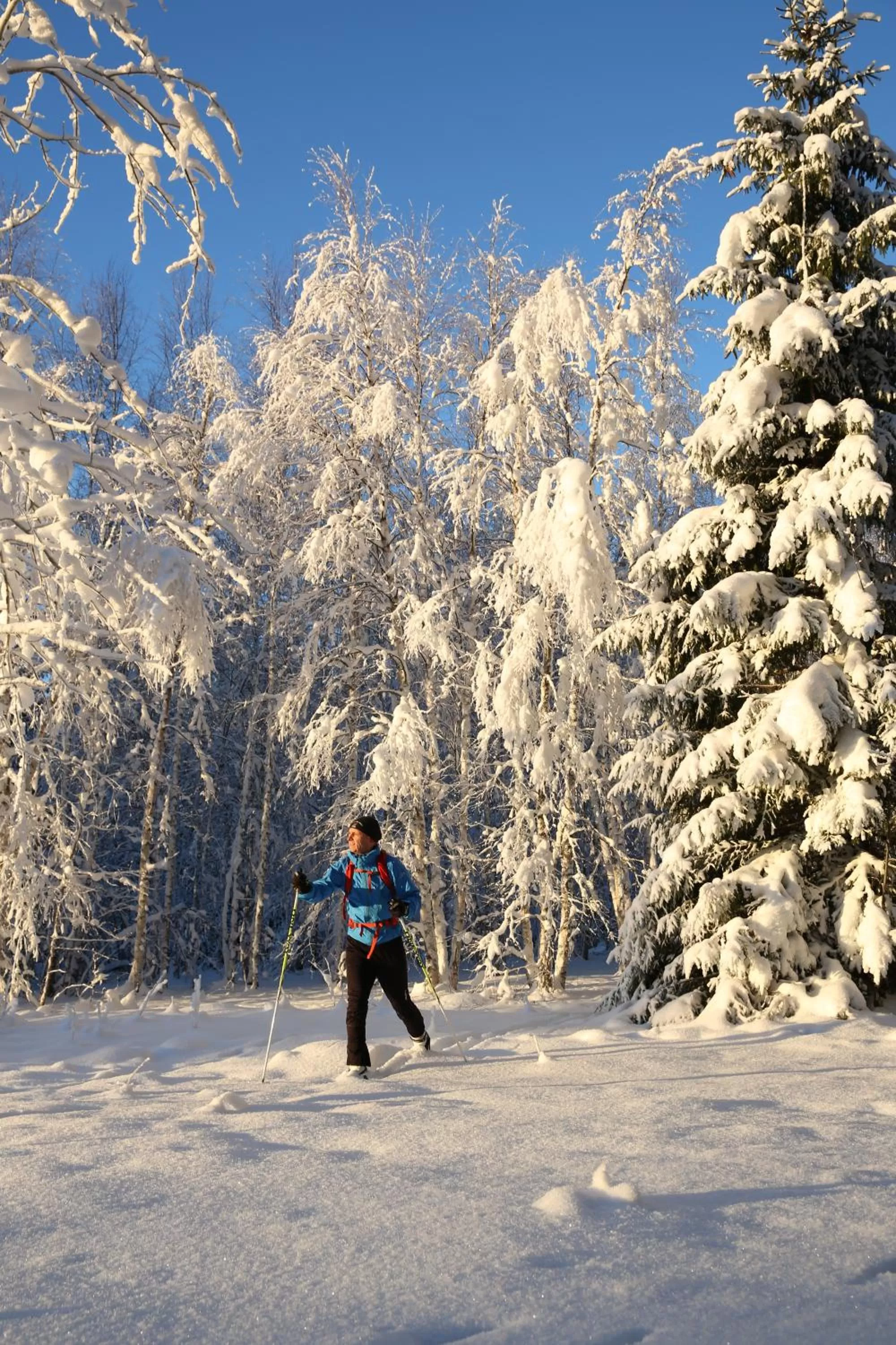 Day in Sikfors Herrgård