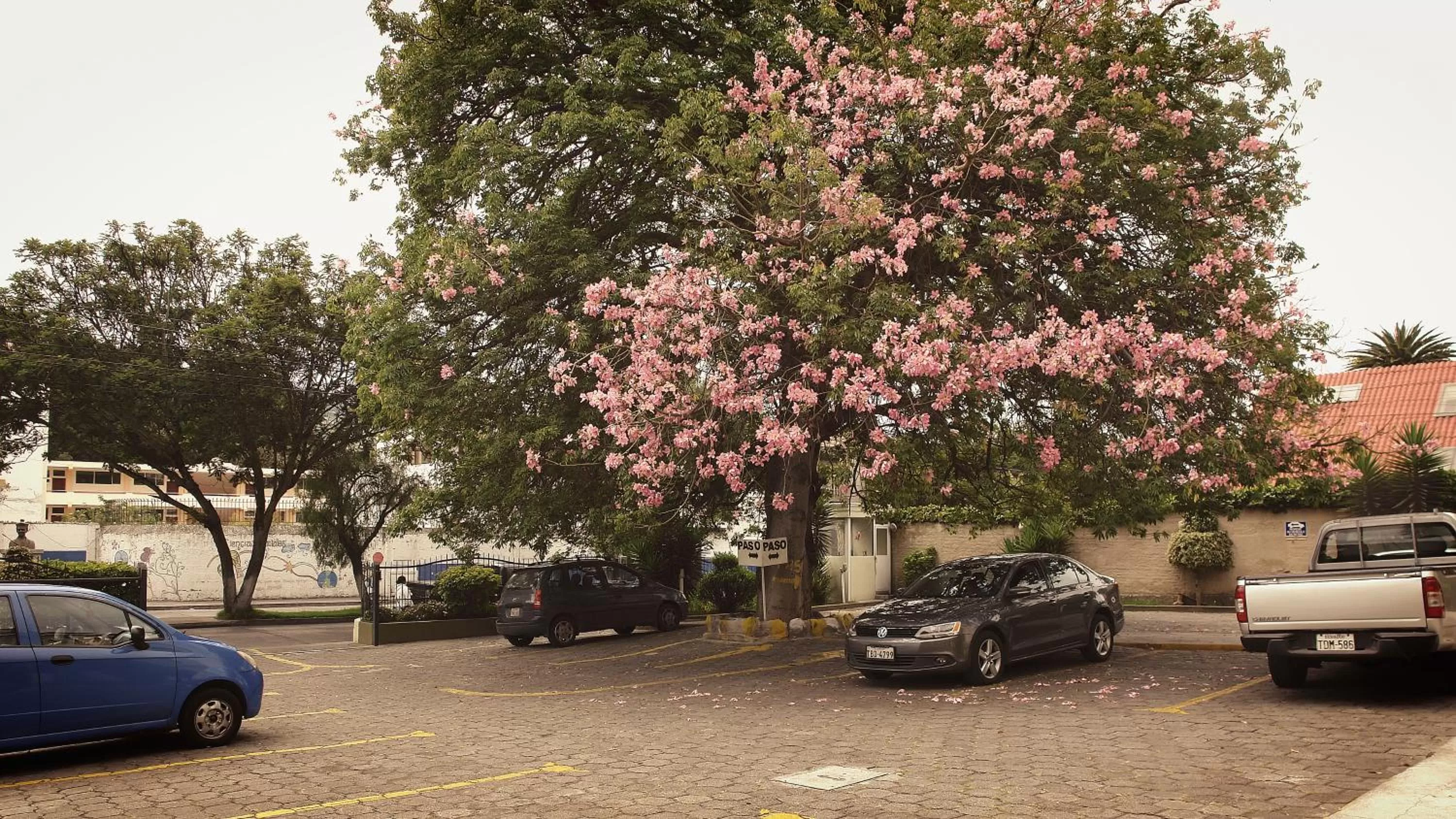 Off site in Hotel Florida