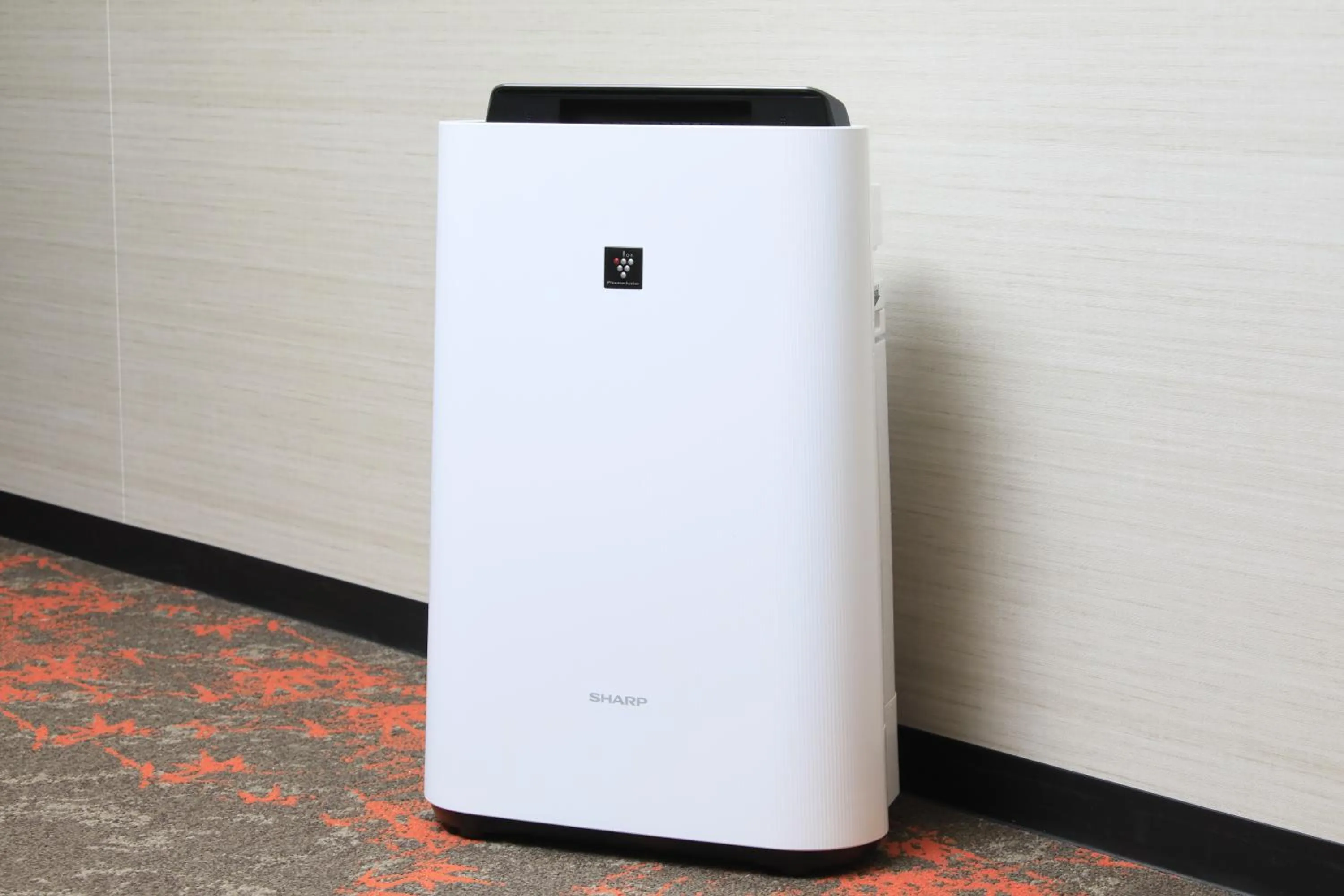 Other in The Hedistar Hotel Kyoto Nijo Comic & Books