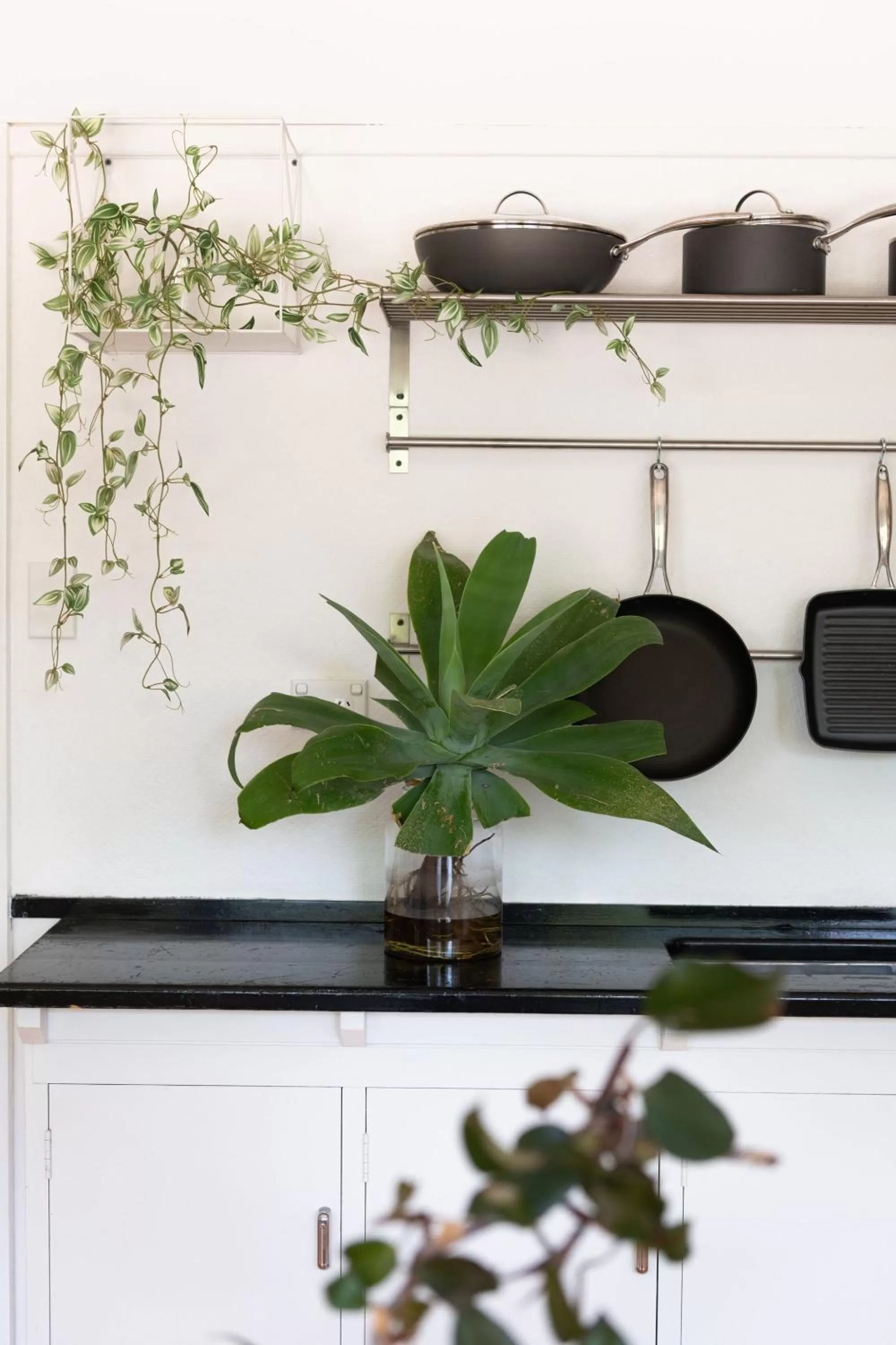 Pirralilla Estate Adelaide Hills