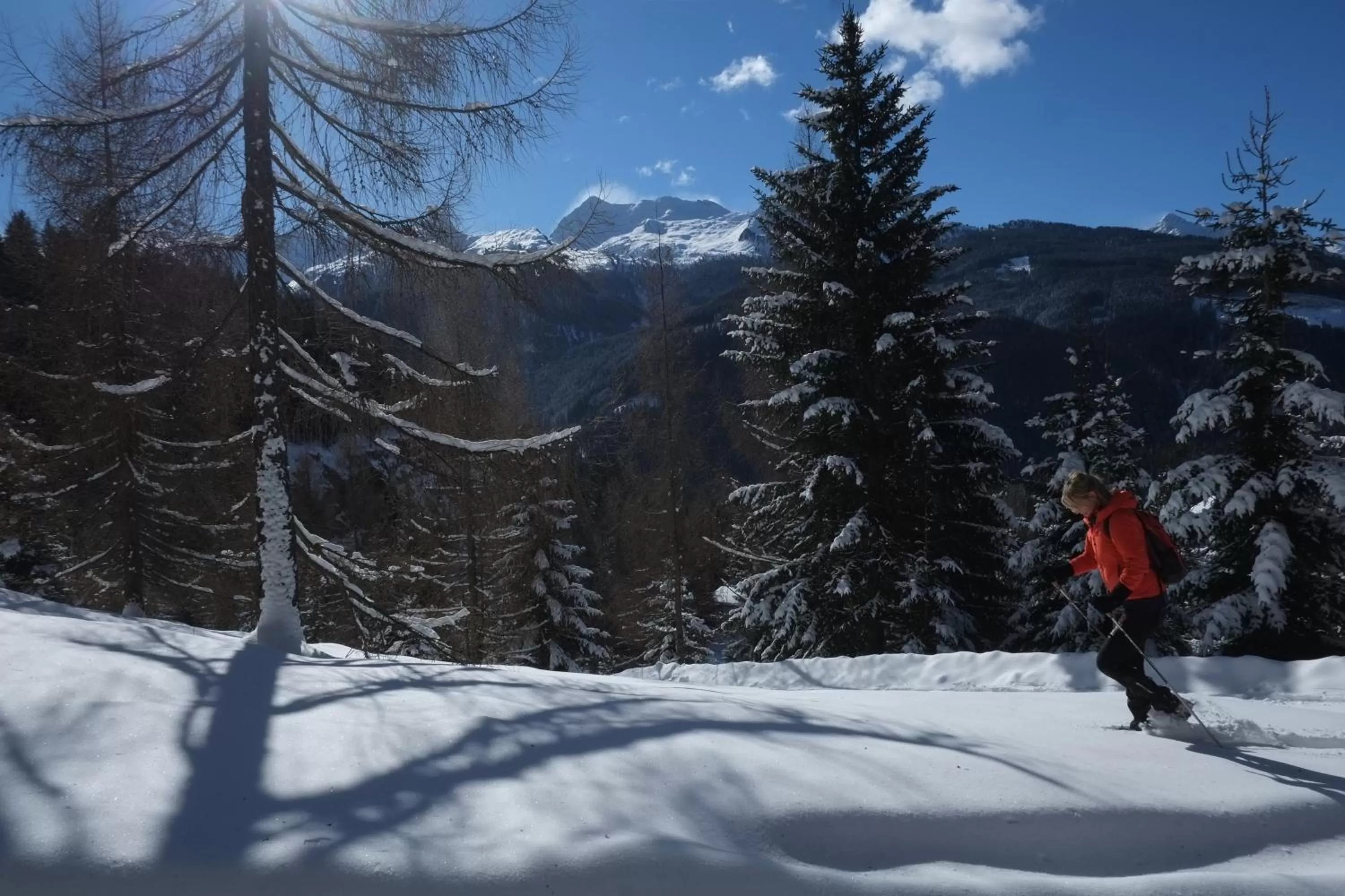 Area and facilities in Historic Hotel Ristorante La Stua