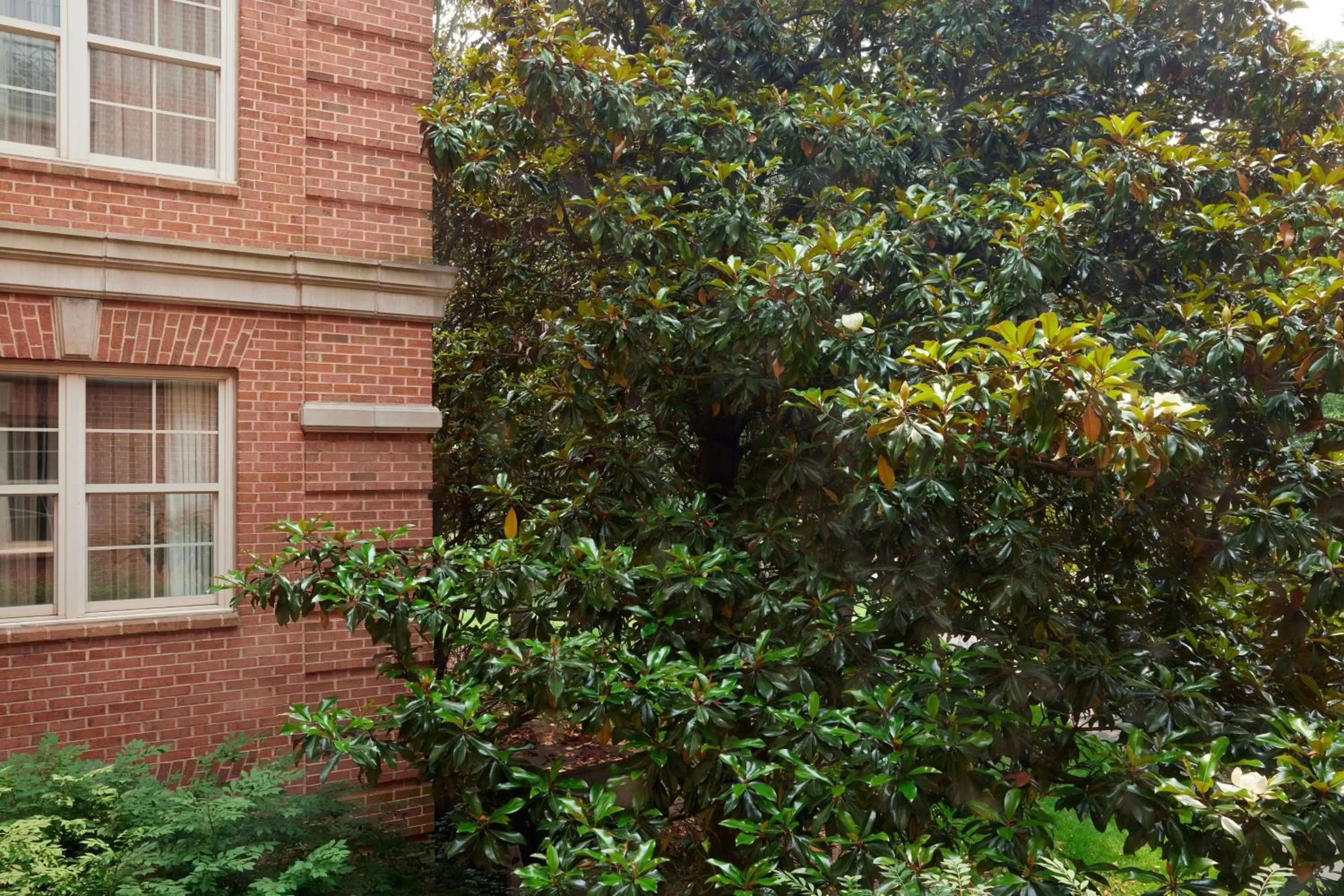 Junior King Suite with Sofa Bed in Westfields Marriott Washington Dulles