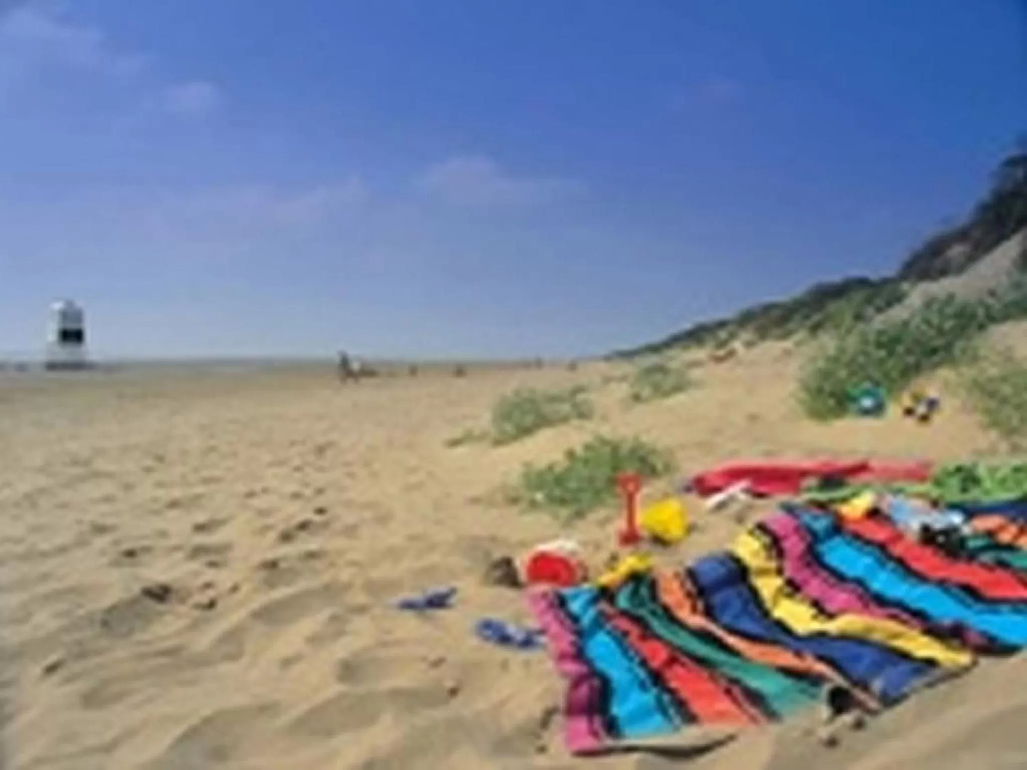 Natural landscape in Smiths Hotel