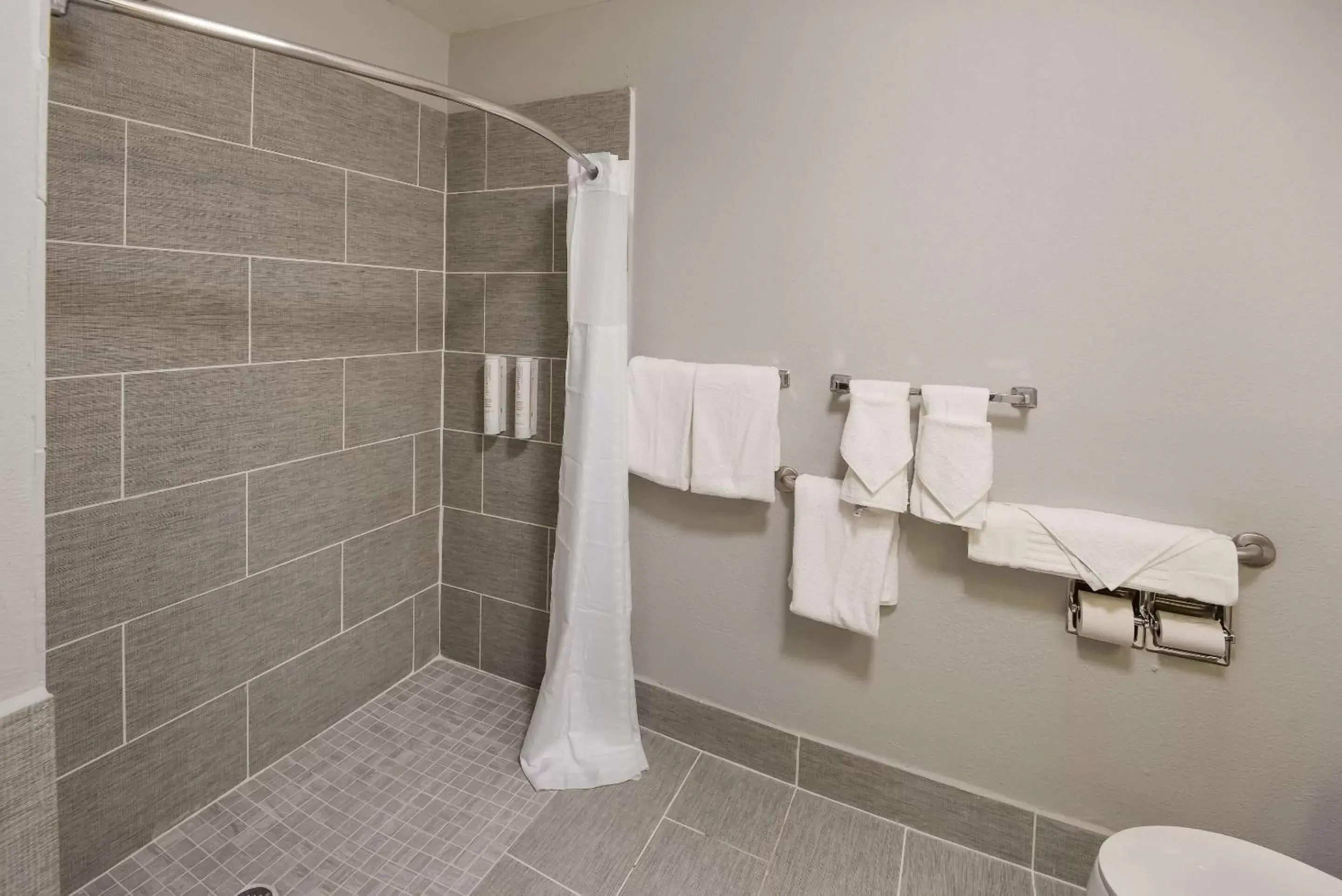 King Room with Roll-In Shower - Disability Access in Clarion Pointe Indianapolis Northeast King Room with Roll-In Shower - Disability Access in Clarion Pointe Indianapolis Northeast