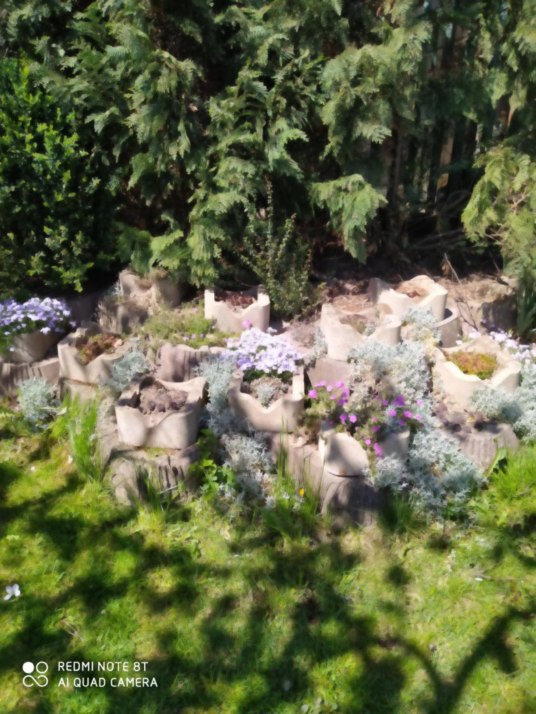 Garden view in Ubytovanie Athéna