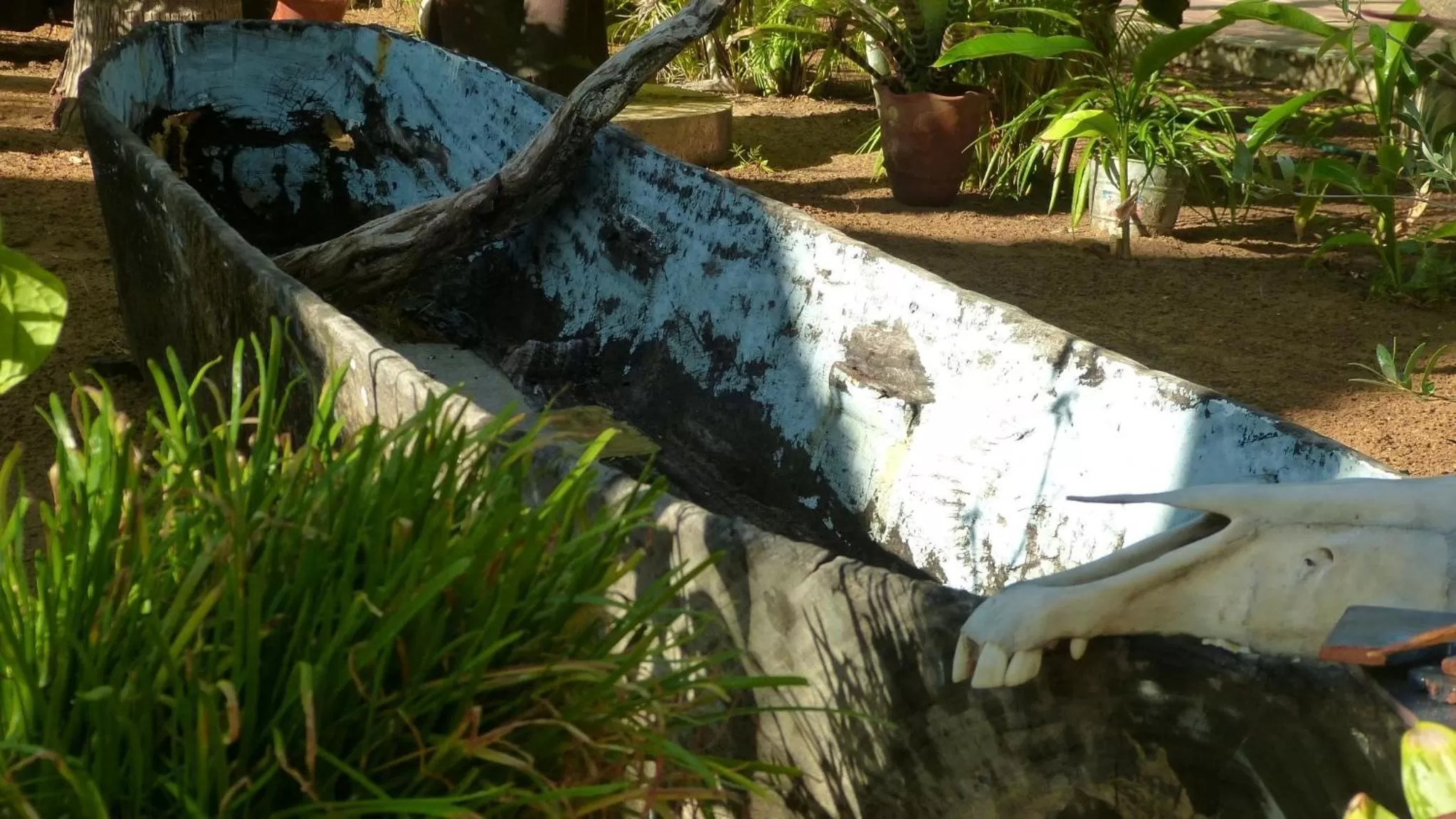 Patio in Hotel Villa Mozart y Macondo