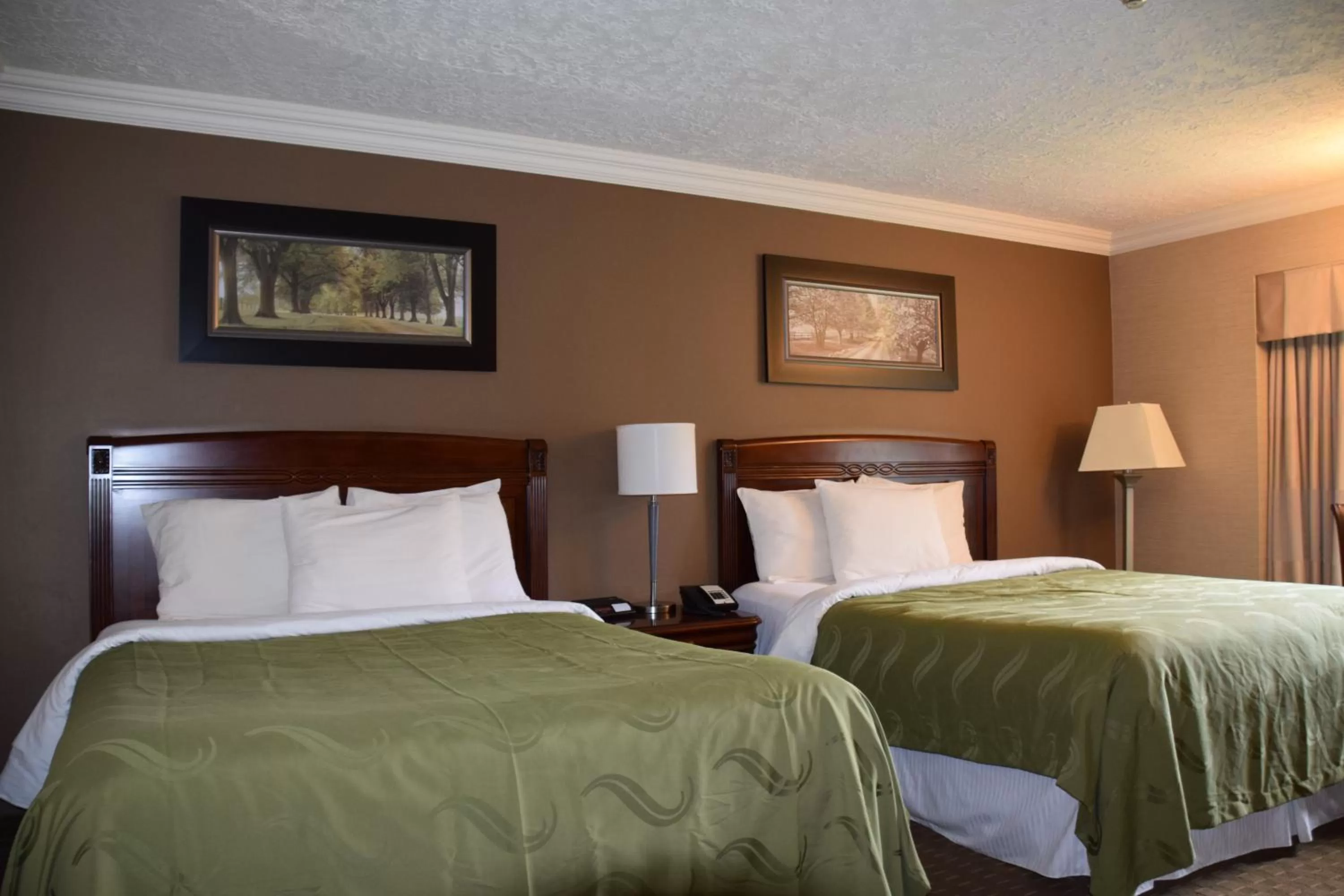 Bed in Rodeway Inn Festival