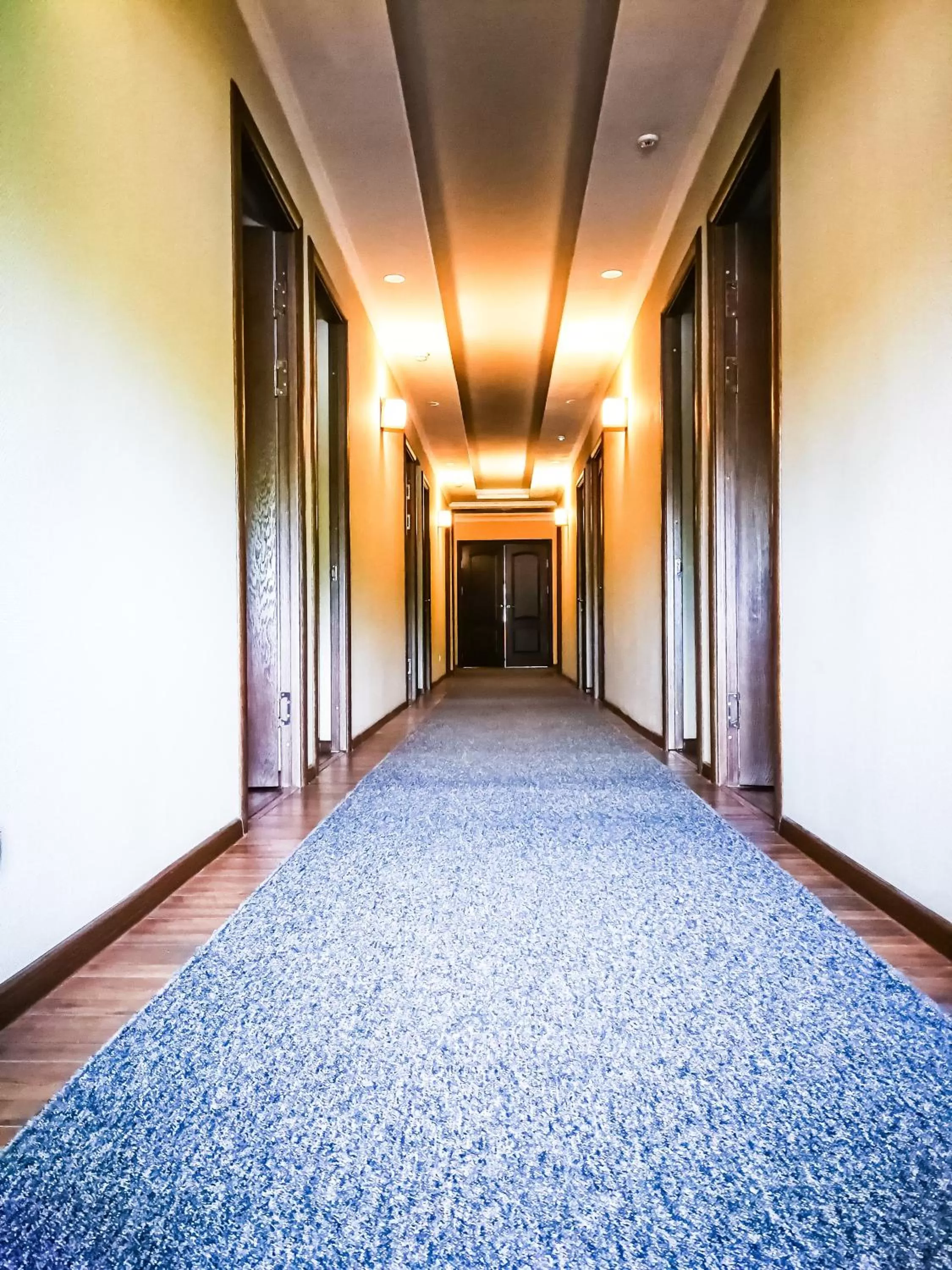 Other in Salut Hotel