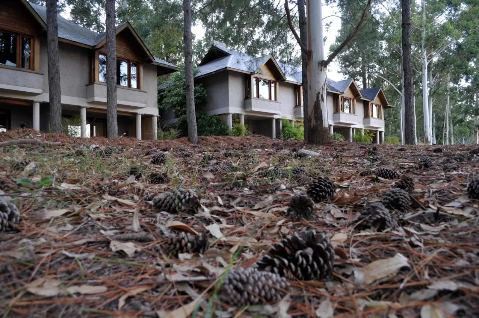 Balcony/Terrace in Carmelo Resort & Spa