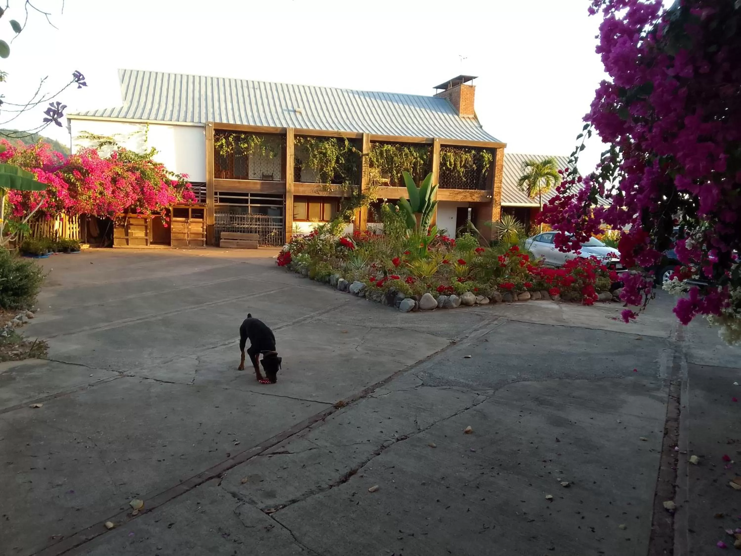 Parking, Property Building in Tranquility Estate
